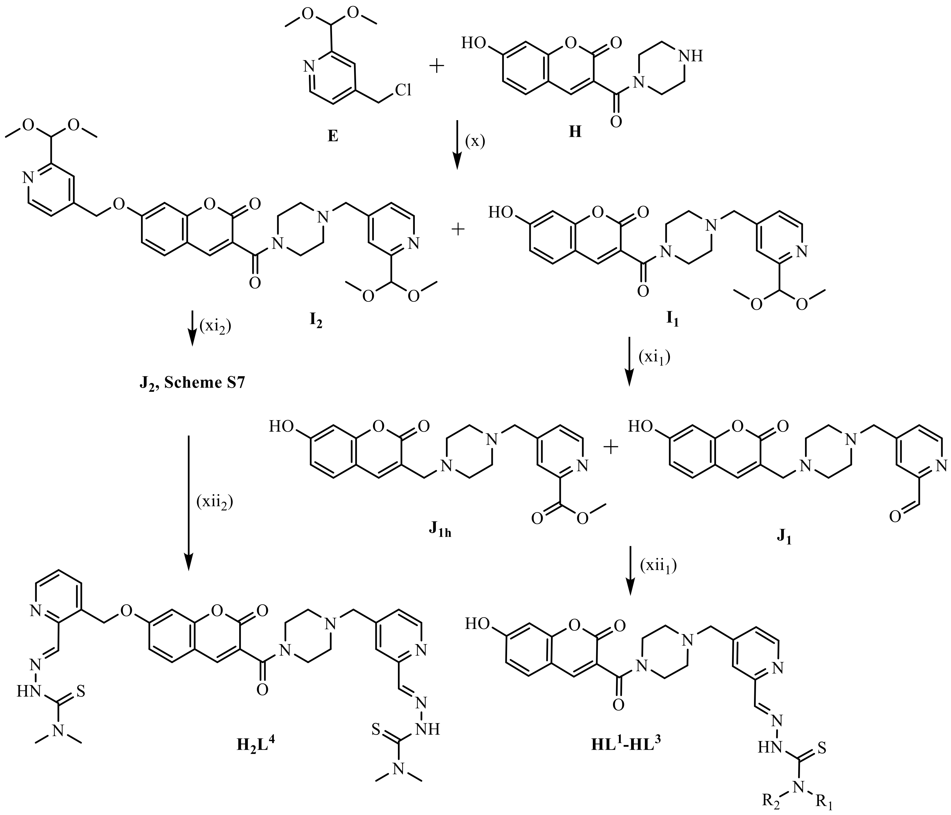 Biomolecules 11 00862 sch001 Biomolecules 11 00862 sch001