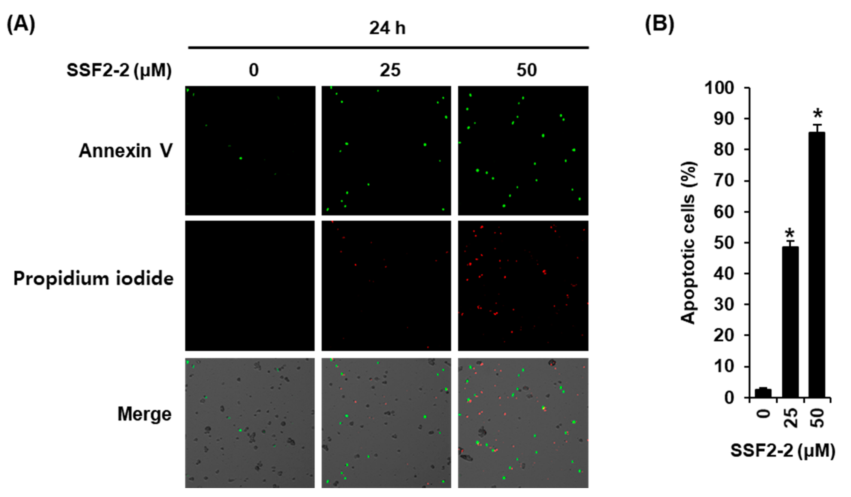 Biomolecules 11 00869 g004 Biomolecules 11 00869 g004