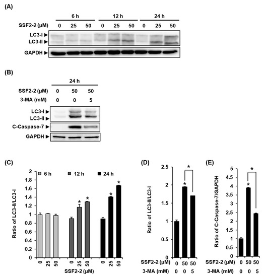 Biomolecules | Special Issue : Bioactive Molecules: Structures ...