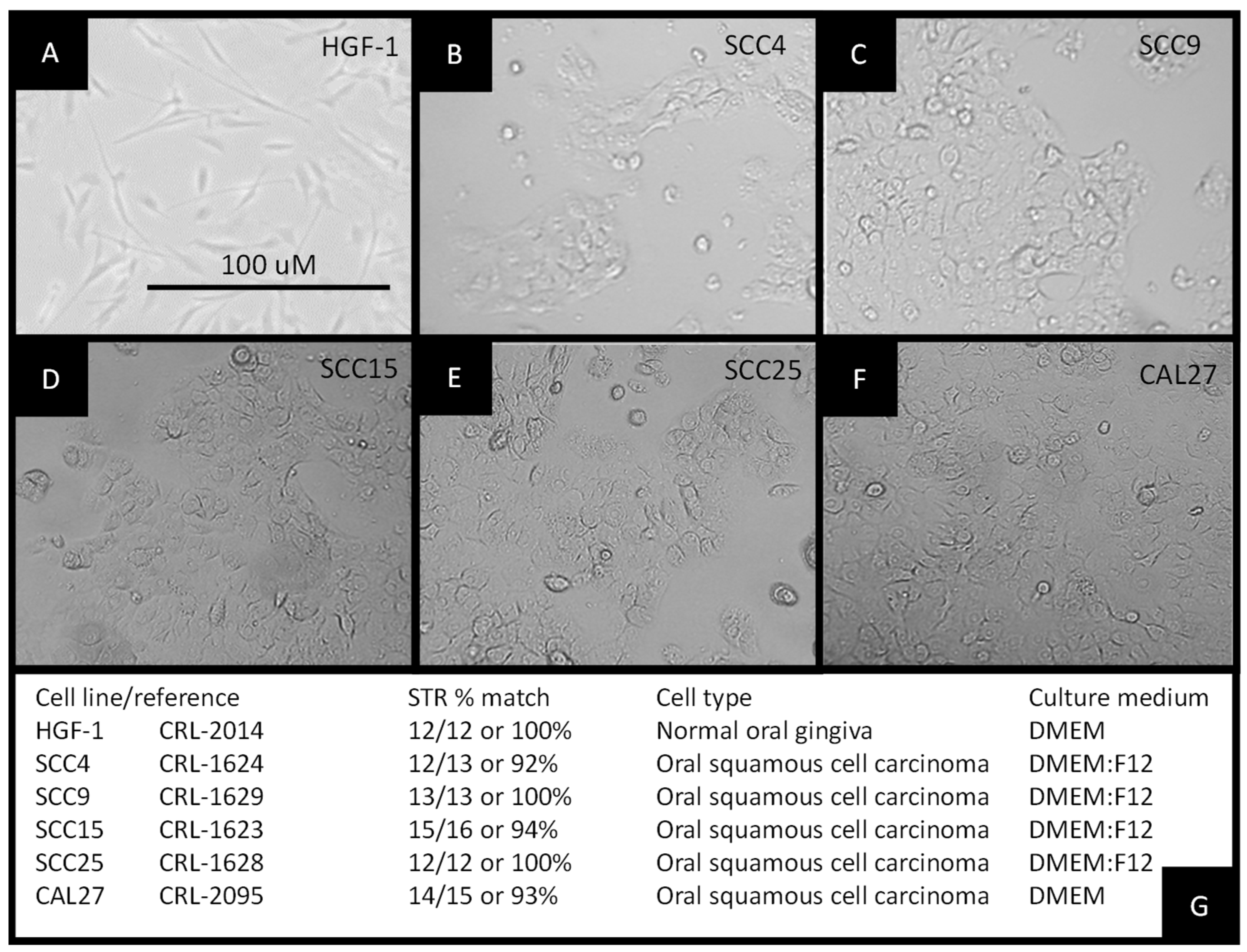 Biomolecules 11 00874 g001