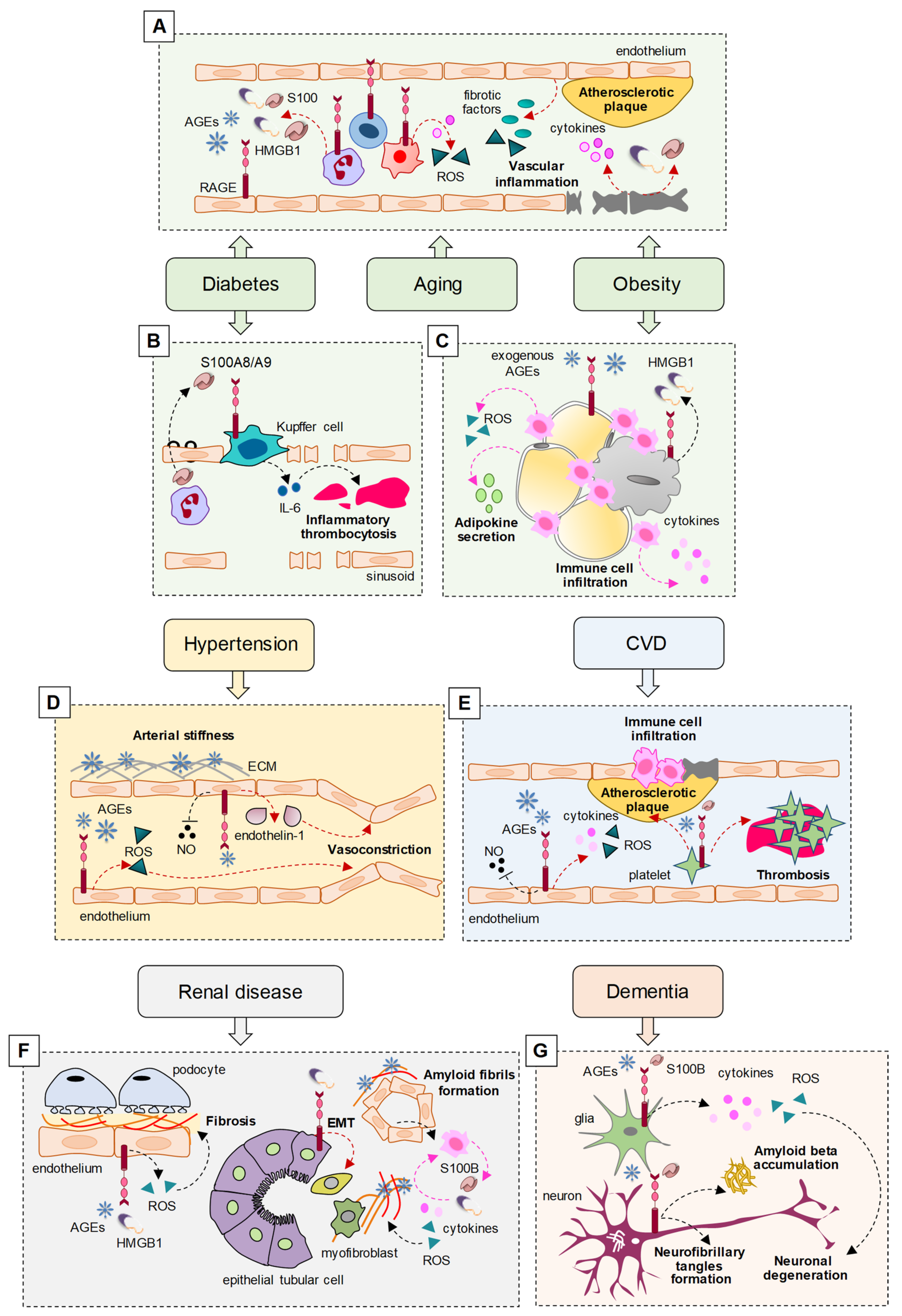 Biomolecules 11 00876 g001 Biomolecules 11 00876 g001
