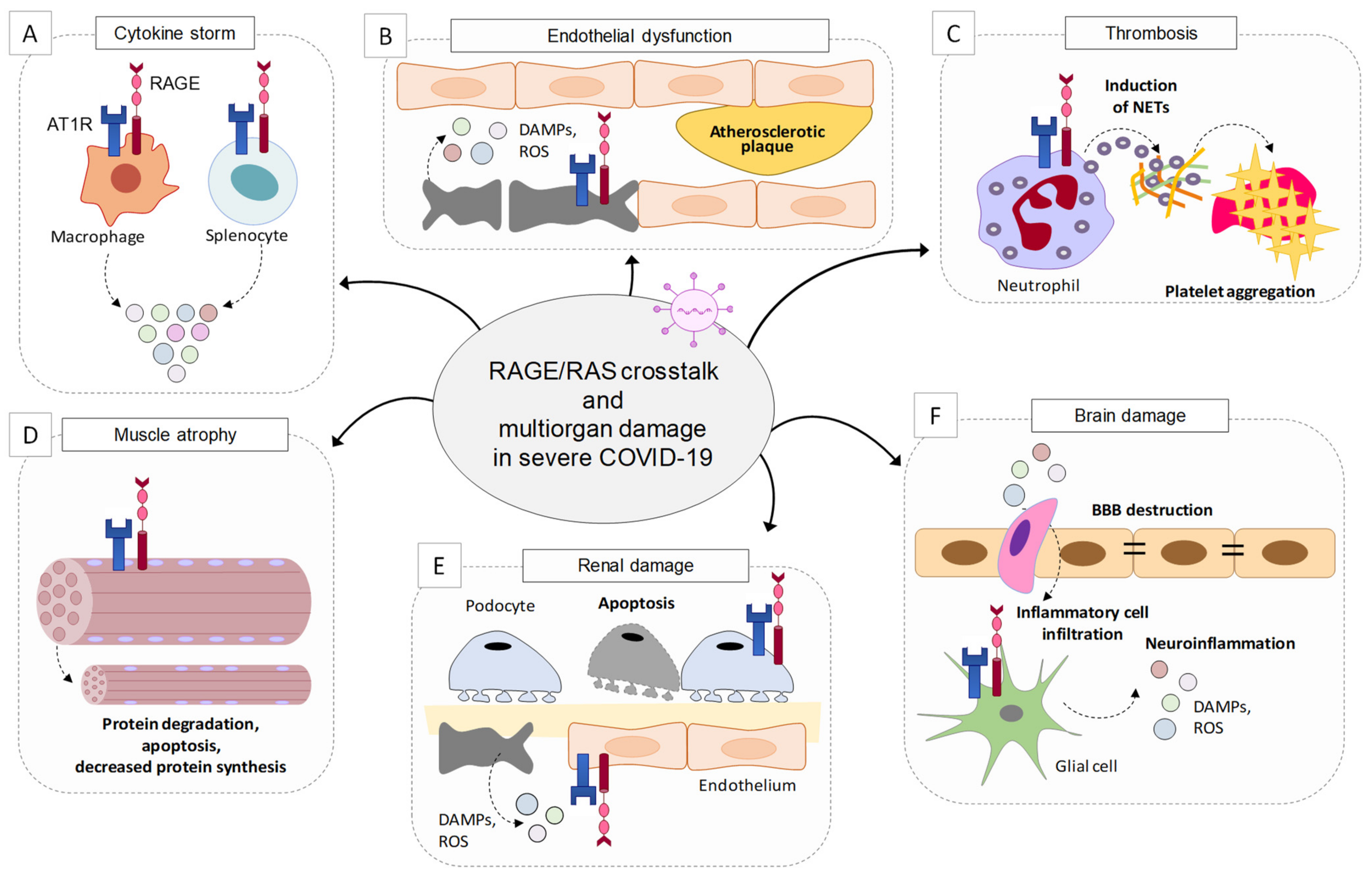 Biomolecules 11 00876 g002 Biomolecules 11 00876 g002