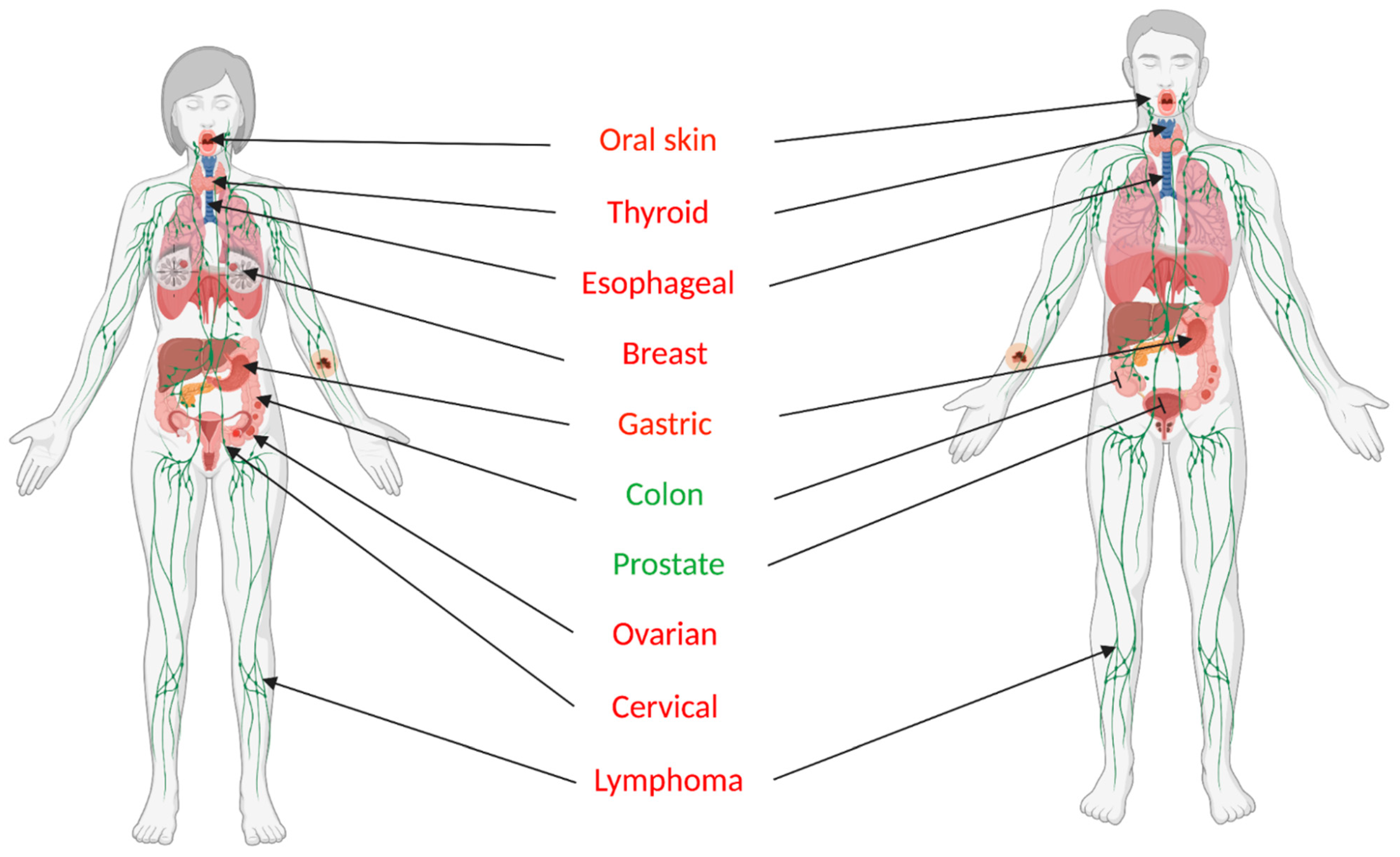 Biomolecules 11 00879 g001 Biomolecules 11 00879 g001