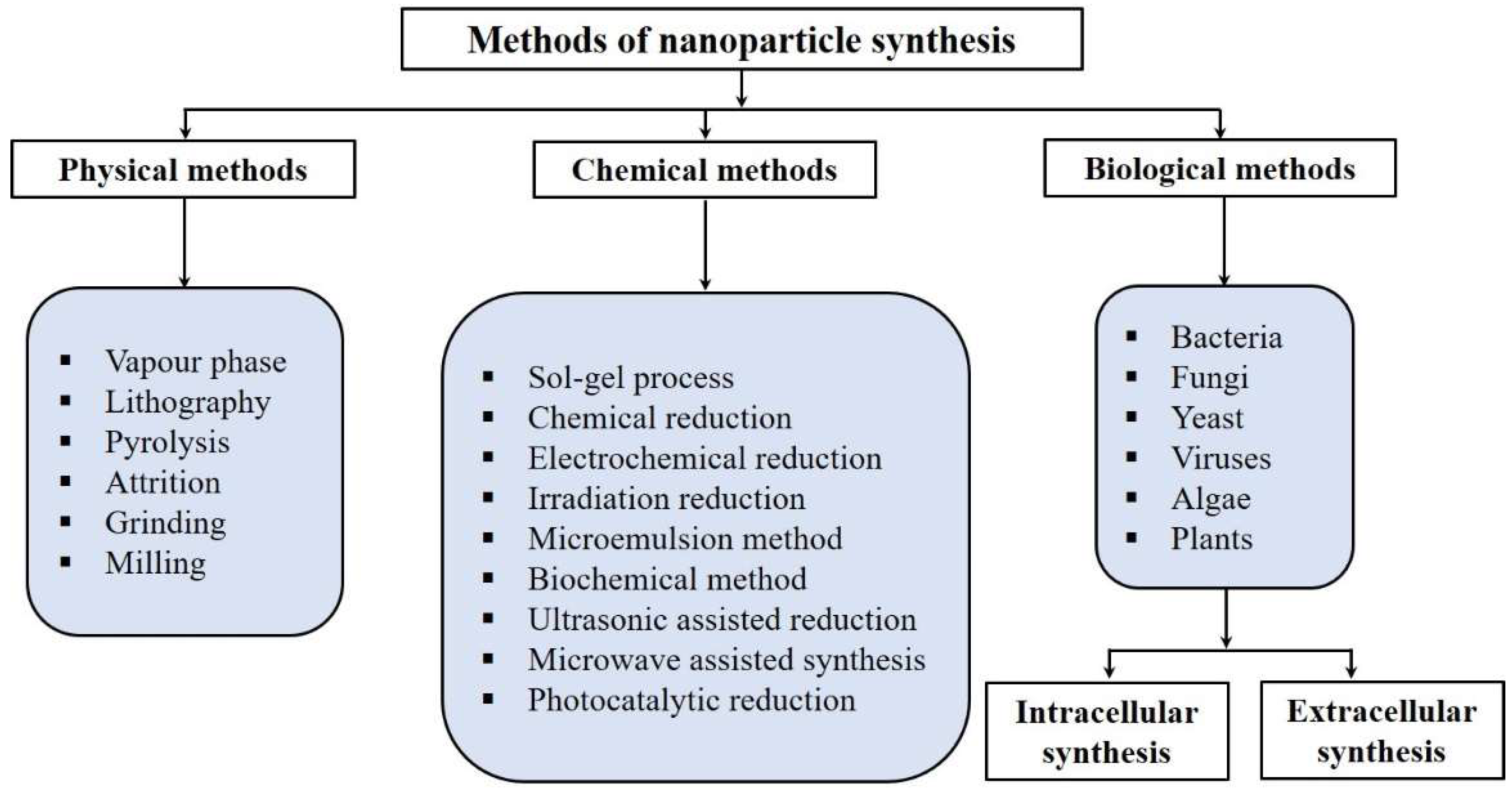 Biomolecules 11 00886 g001 Biomolecules 11 00886 g001
