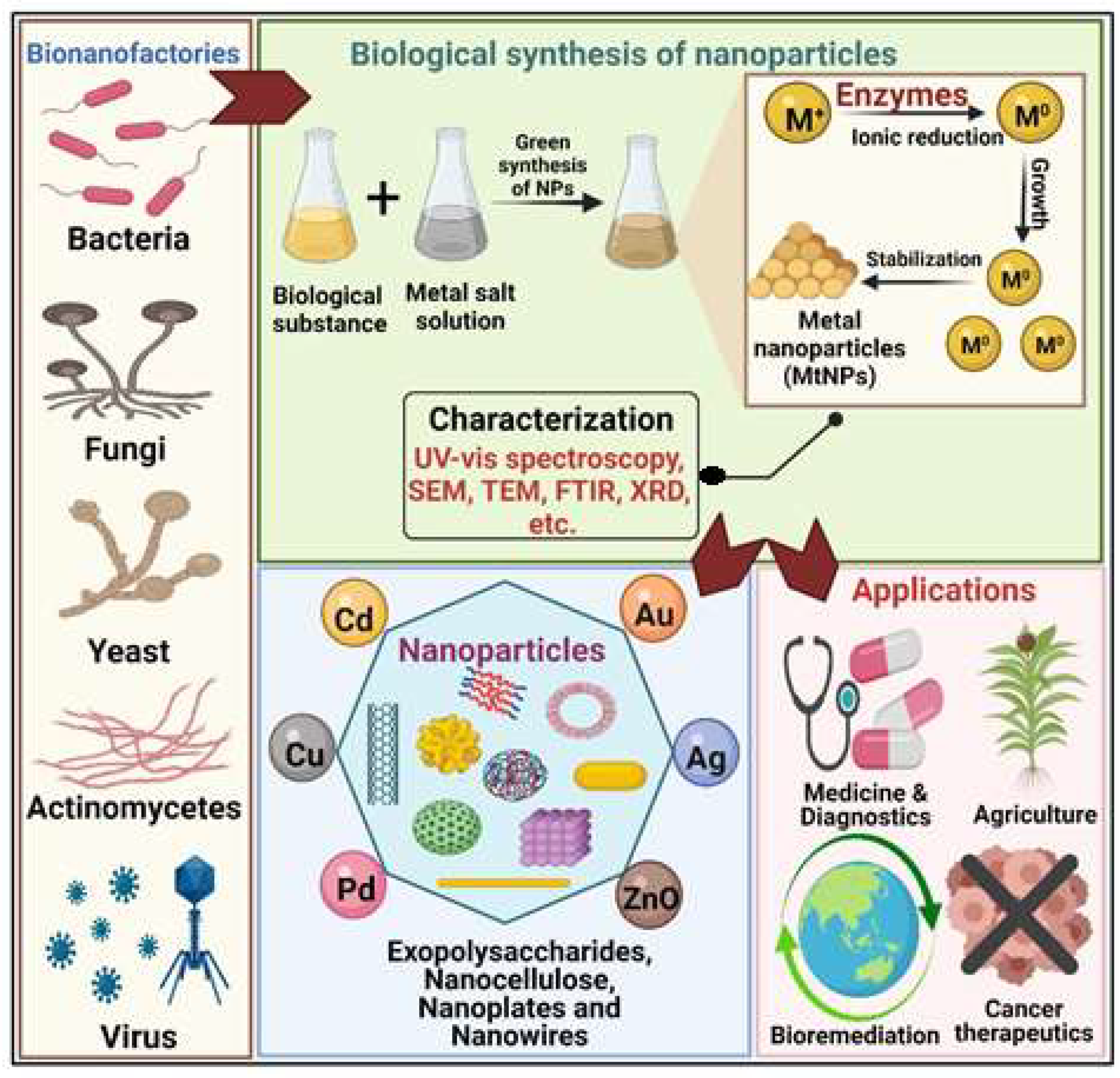 Biomolecules 11 00886 g002 Biomolecules 11 00886 g002