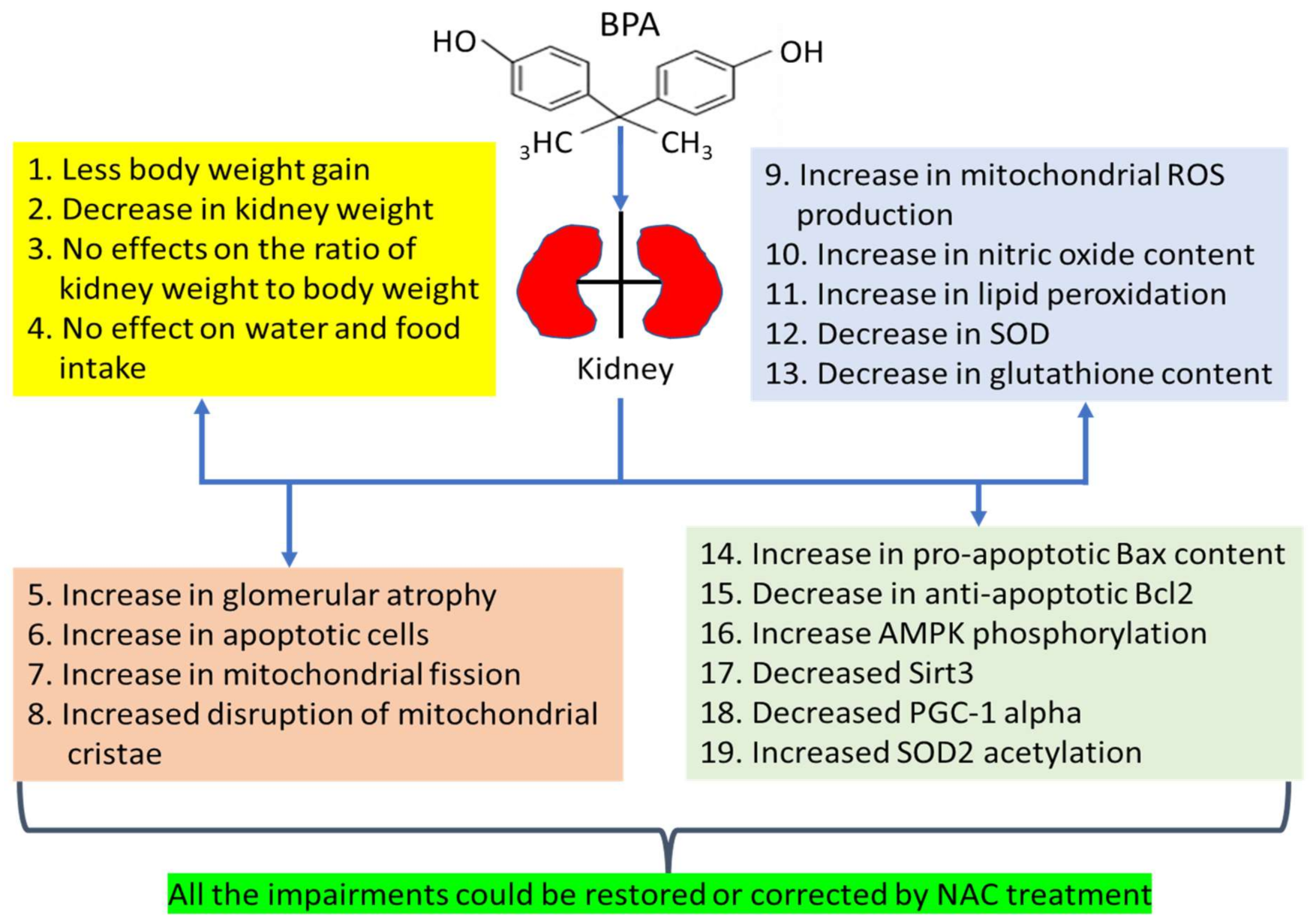 Biomolecules 11 00888 g002 Biomolecules 11 00888 g002