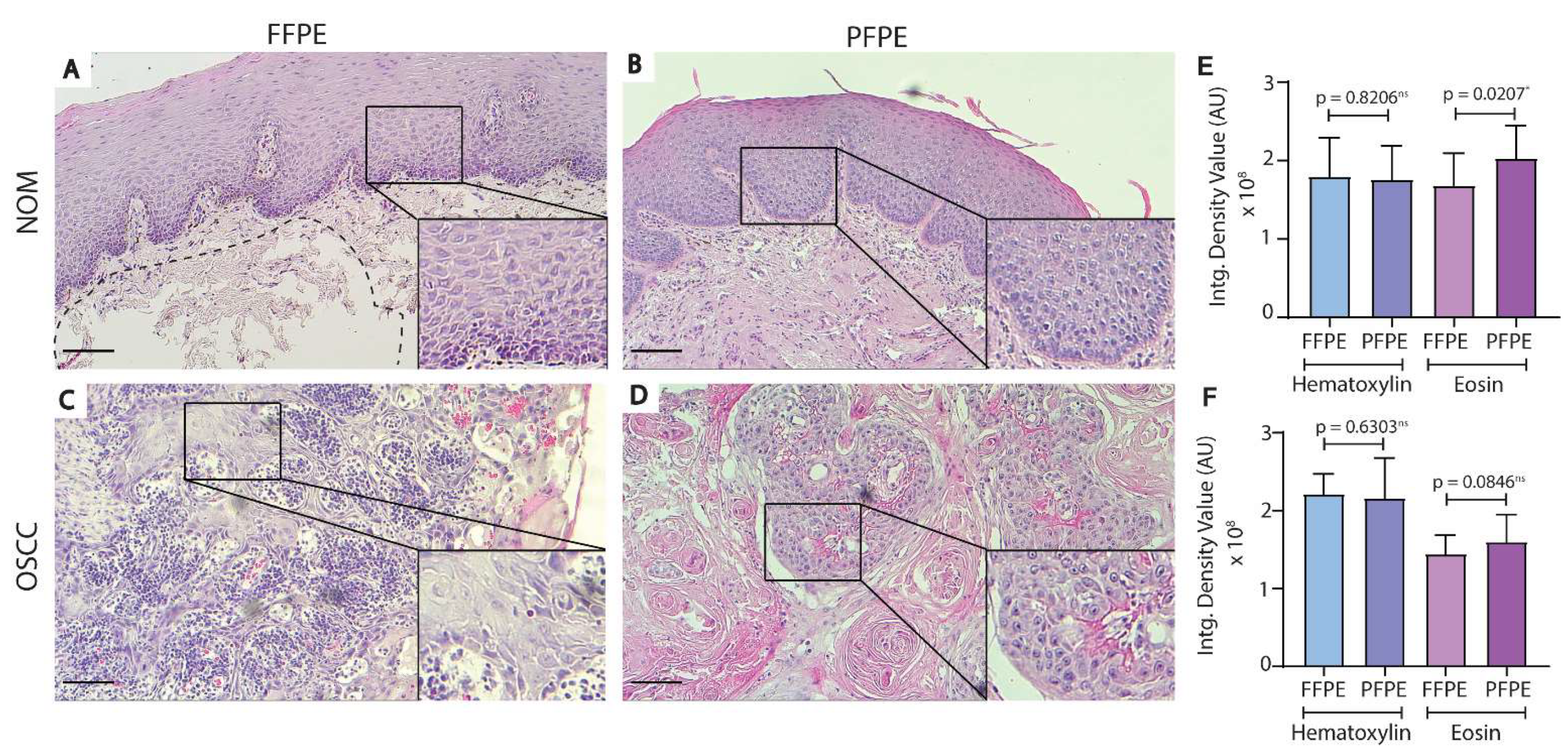 Biomolecules 11 00889 g002 Biomolecules 11 00889 g002