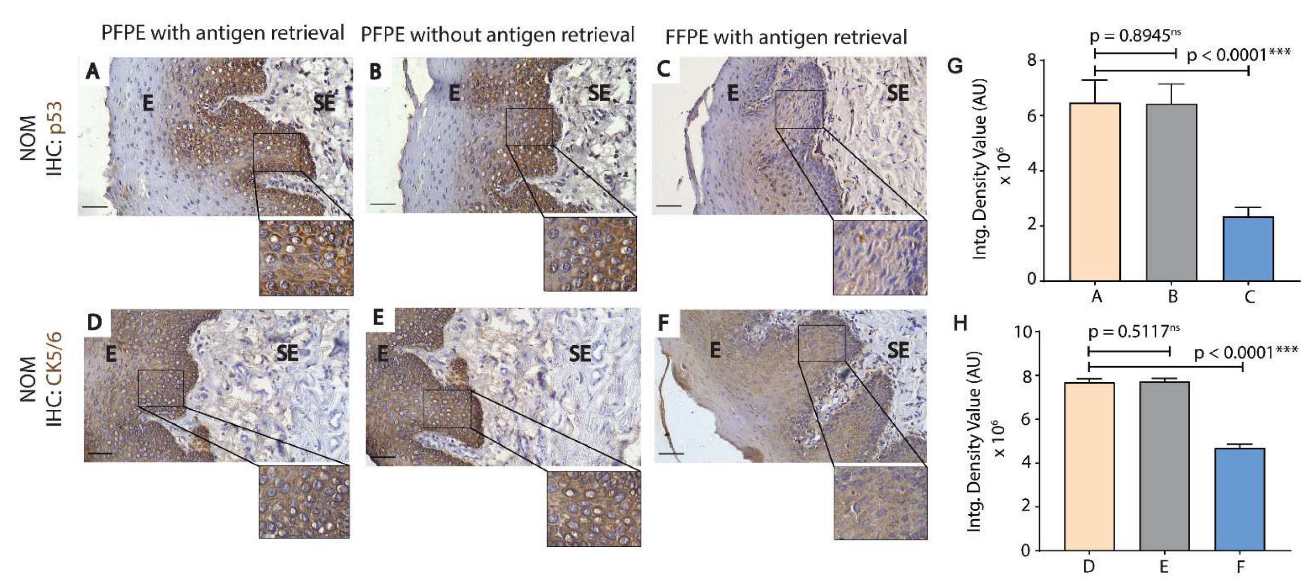 Biomolecules 11 00889 g003 Biomolecules 11 00889 g003