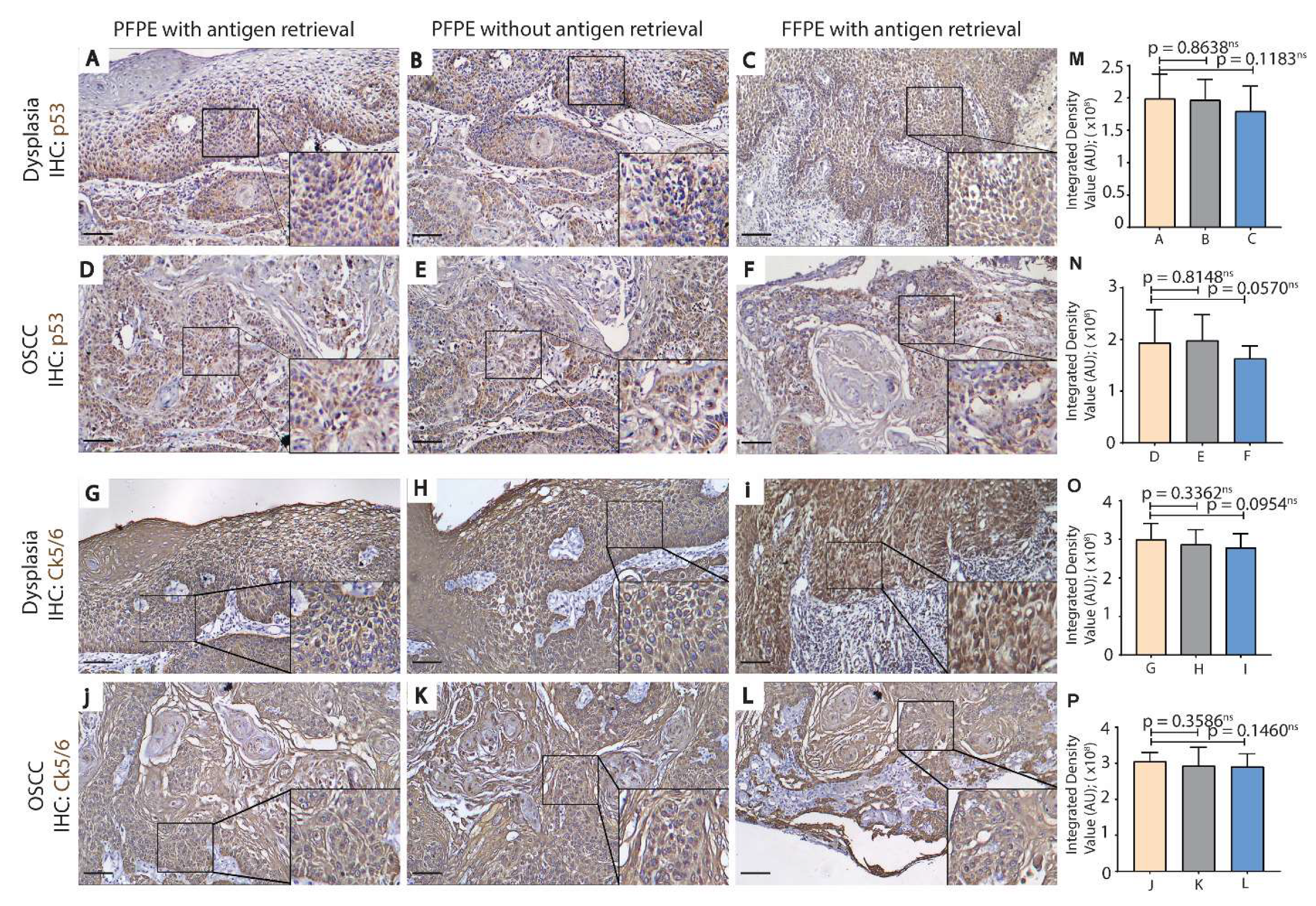 Biomolecules 11 00889 g004 Biomolecules 11 00889 g004