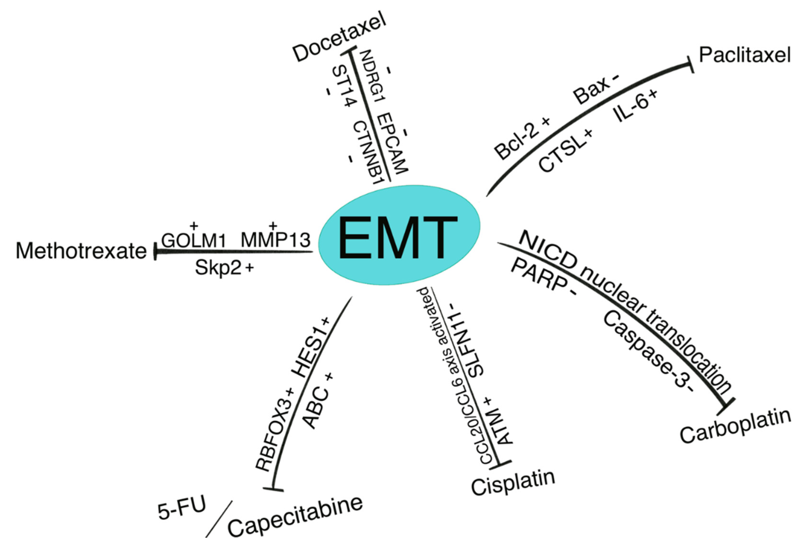 Biomolecules 11 00893 g003 Biomolecules 11 00893 g003