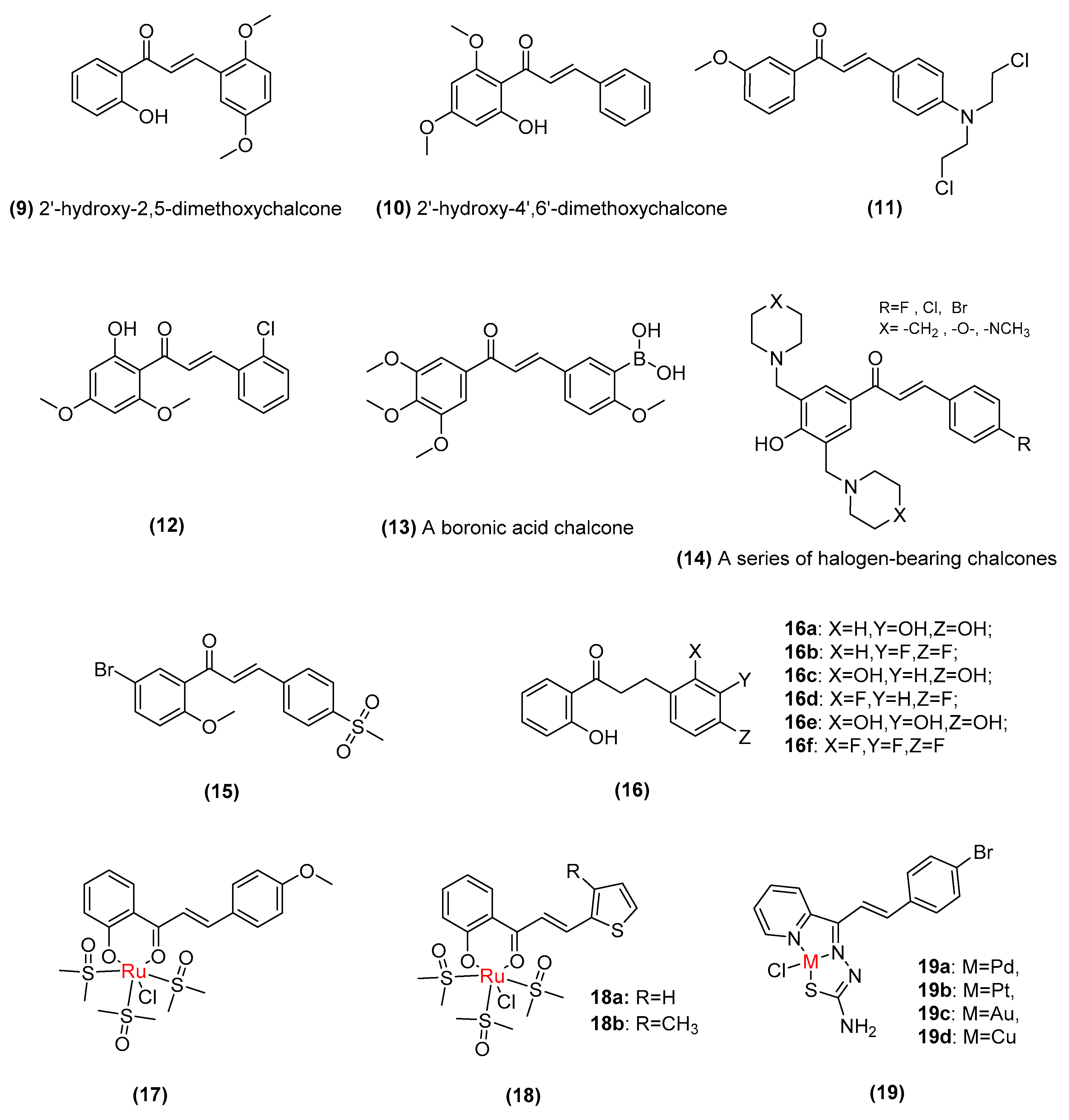 Biomolecules 11 00894 g005 Biomolecules 11 00894 g005