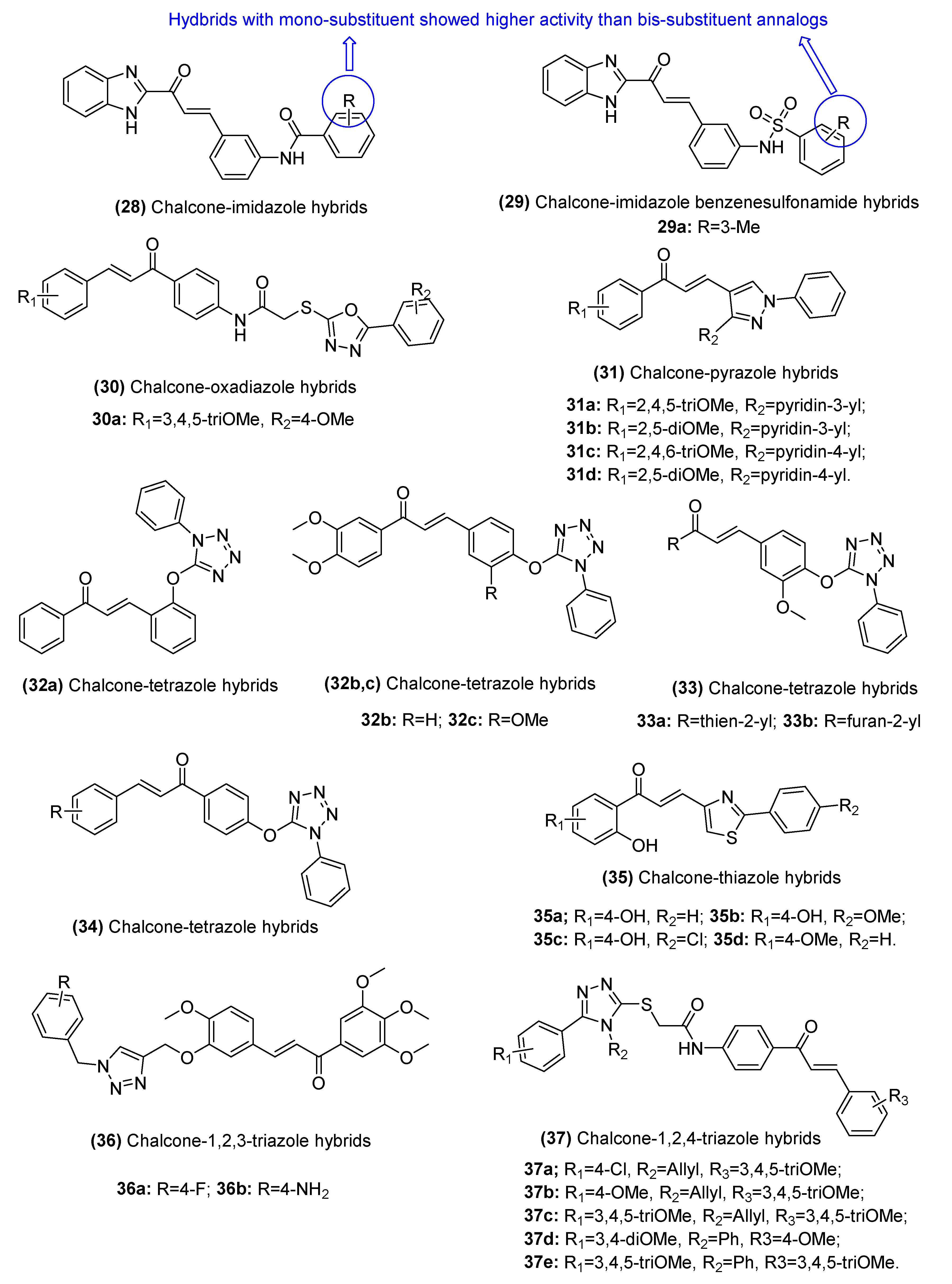 Biomolecules 11 00894 g007 Biomolecules 11 00894 g007