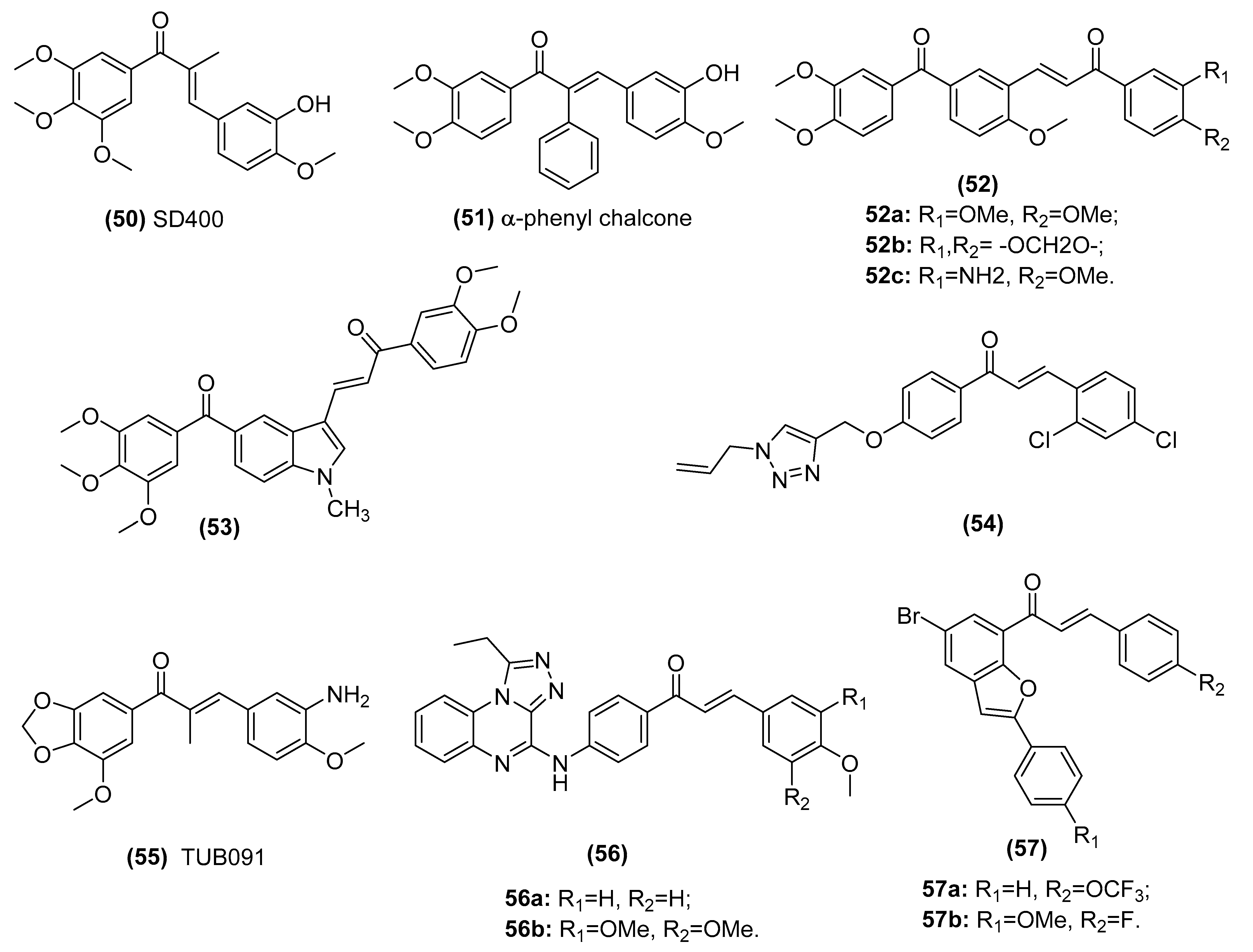 Biomolecules 11 00894 g012 Biomolecules 11 00894 g012