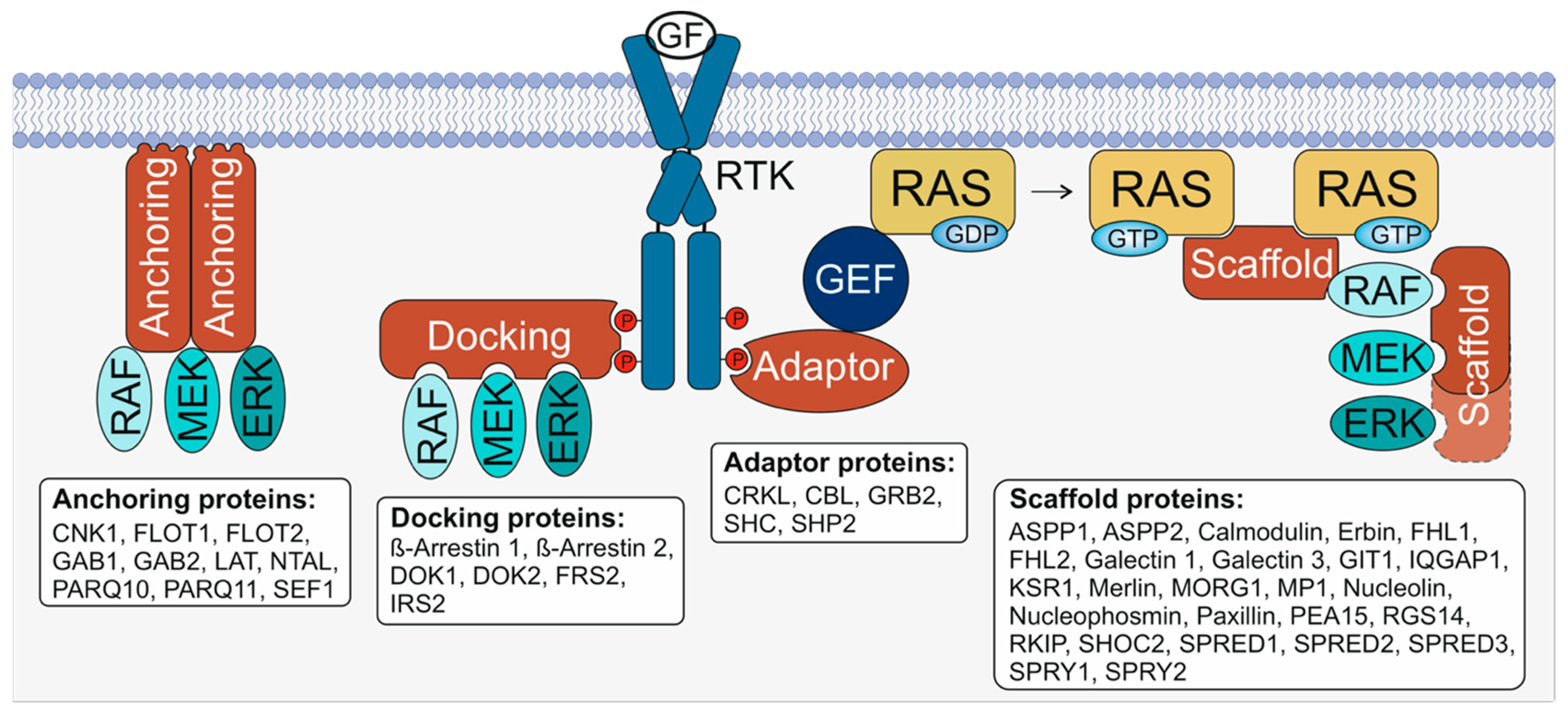 Biomolecules 11 00895 g001 Biomolecules 11 00895 g001