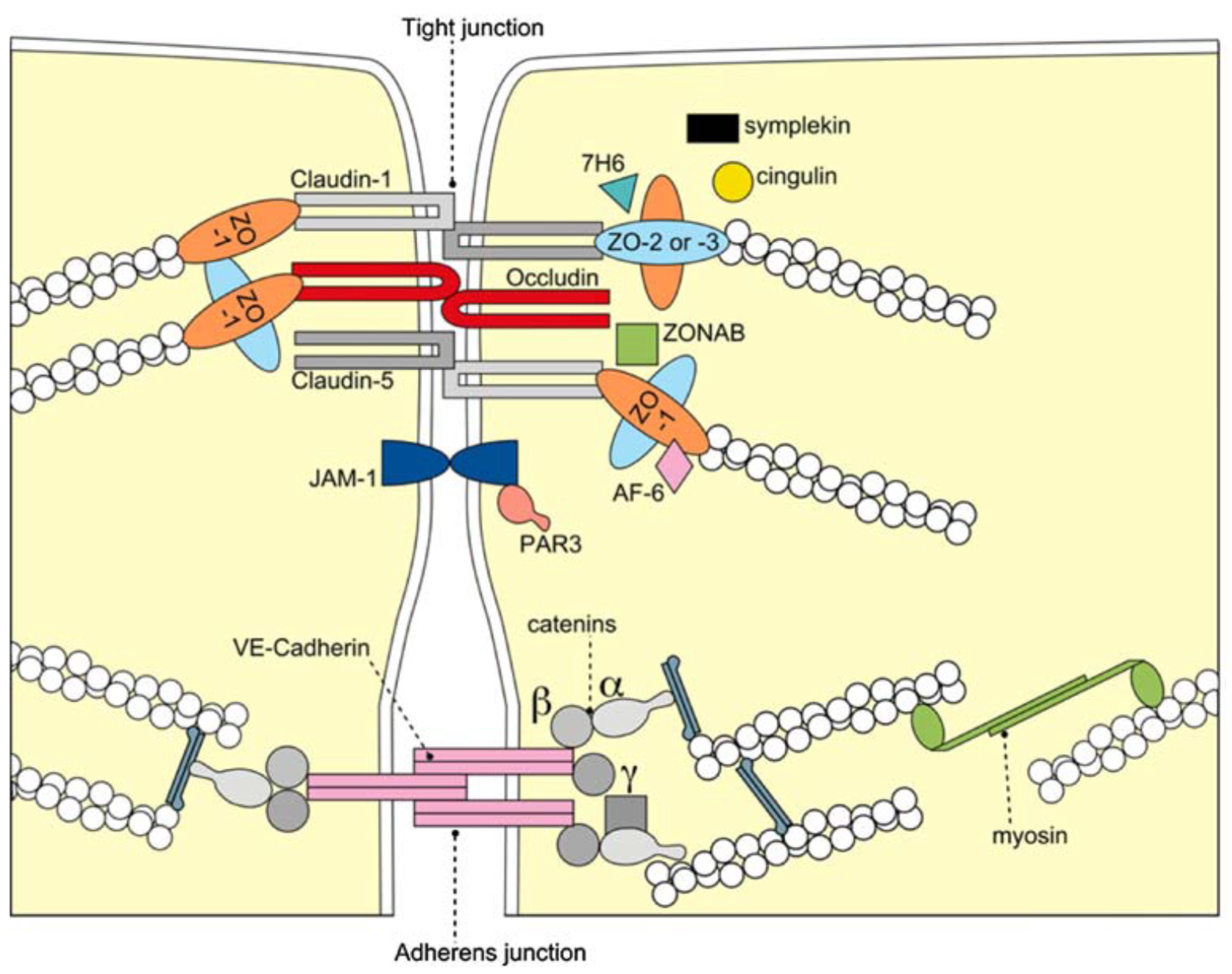 Biomolecules 11 00900 g001