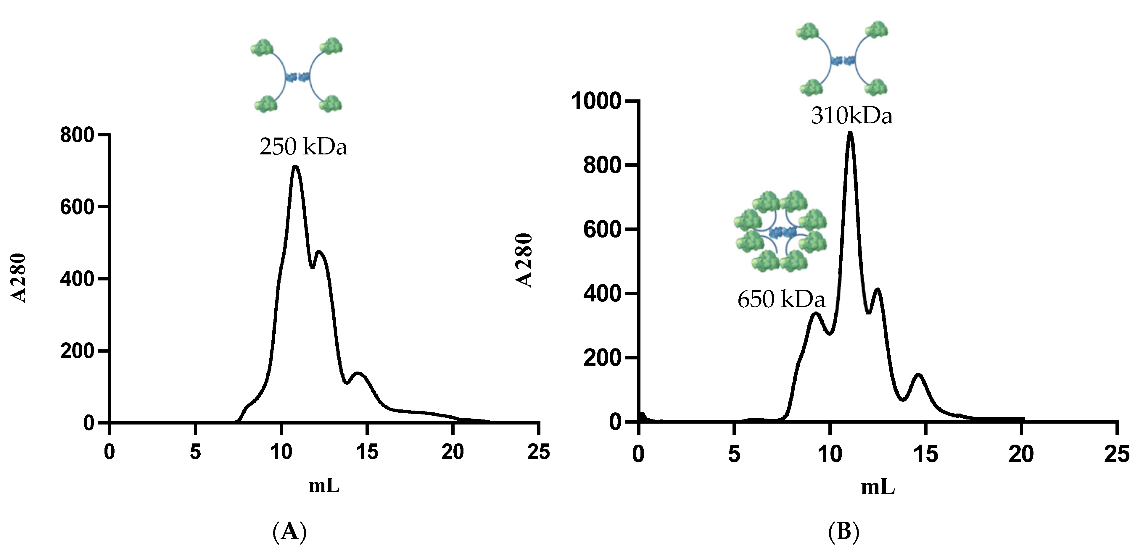 Biomolecules 11 00905 g002 Biomolecules 11 00905 g002