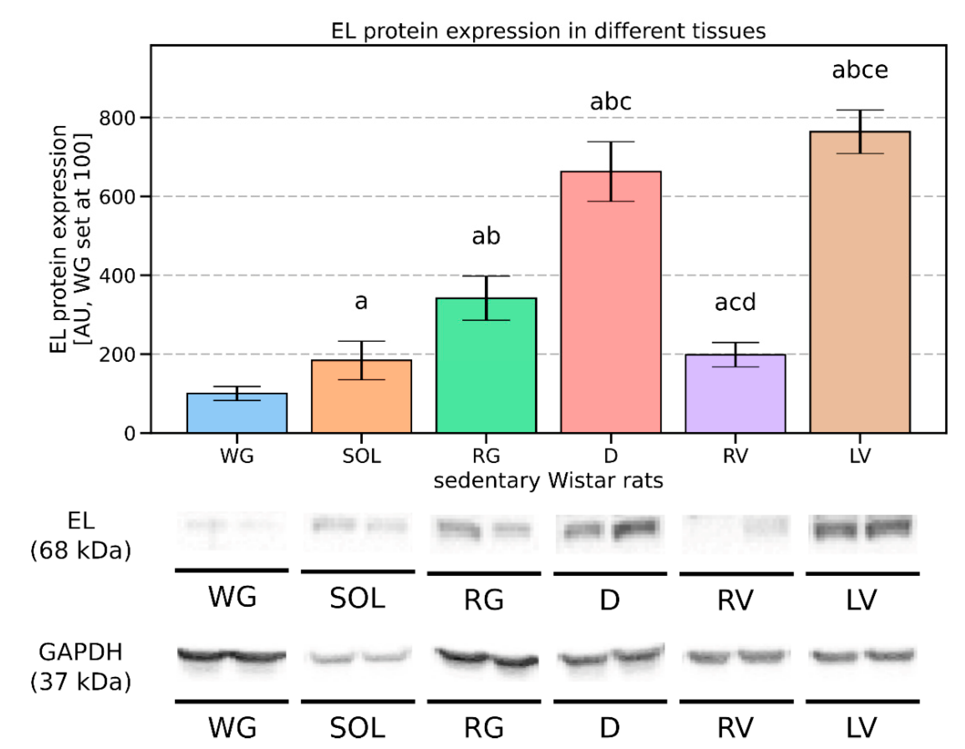 Biomolecules 11 00906 g001