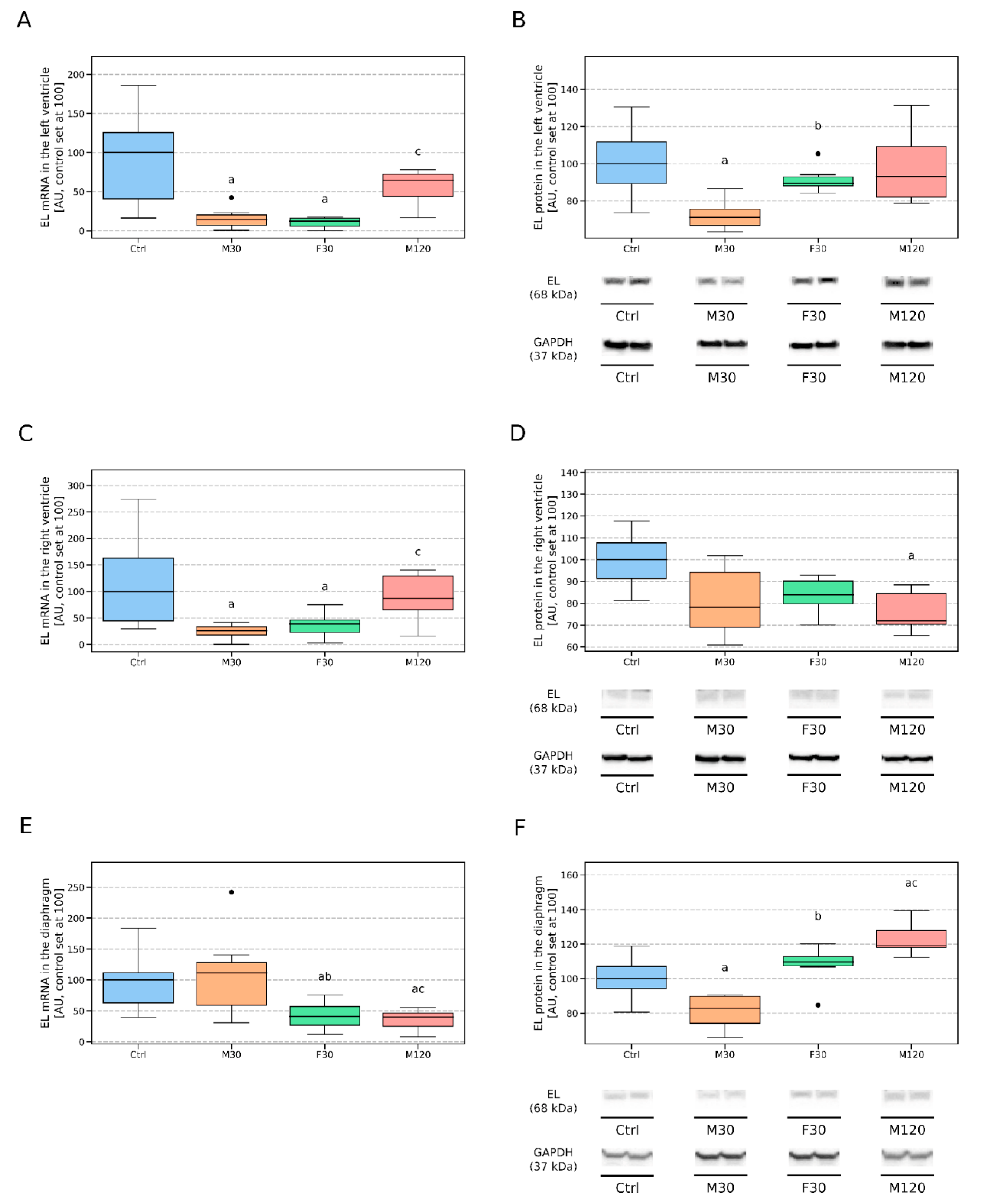 Biomolecules 11 00906 g002
