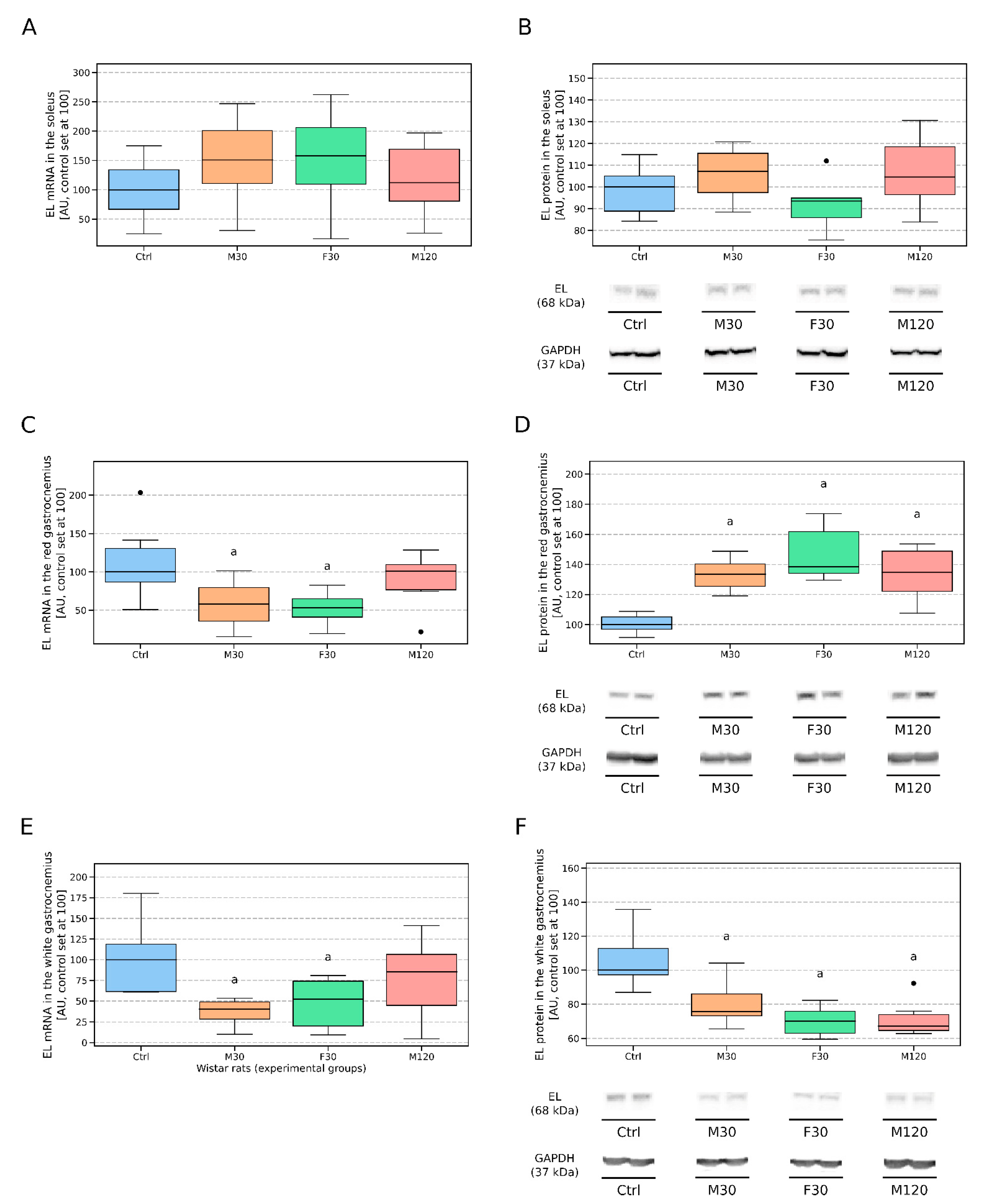 Biomolecules 11 00906 g003