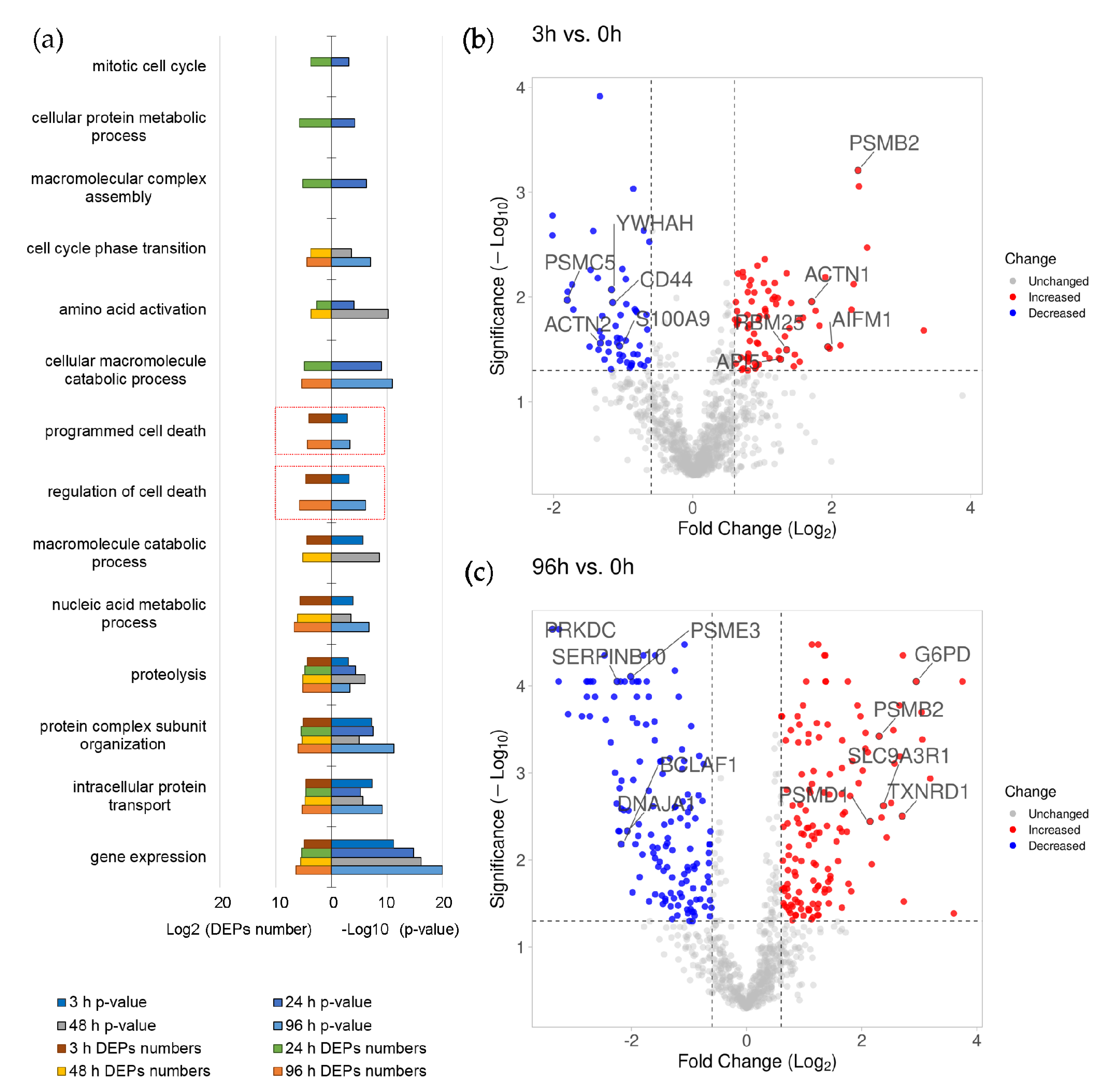 Biomolecules 11 00907 g003 Biomolecules 11 00907 g003