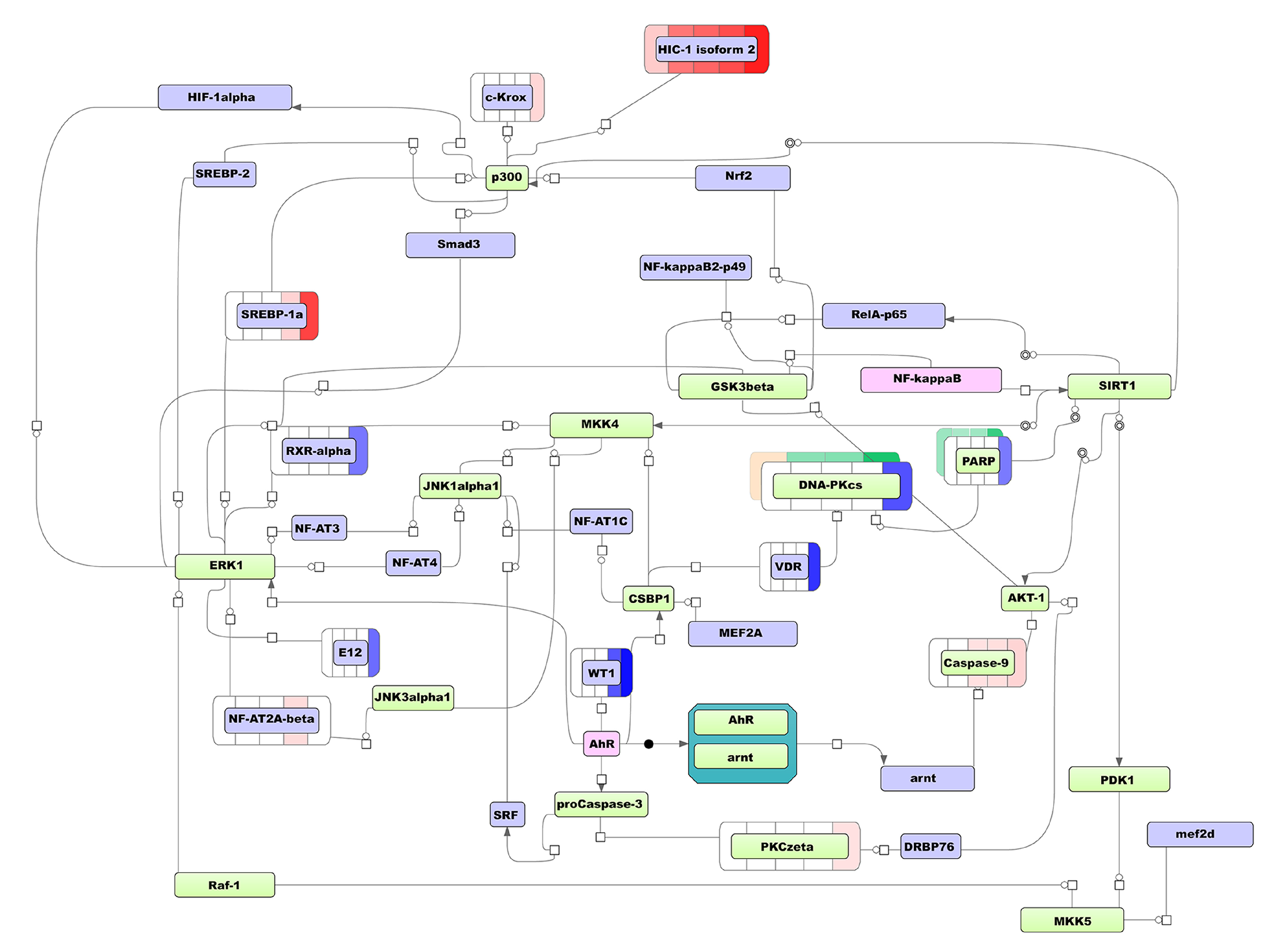 Biomolecules 11 00907 g004 Biomolecules 11 00907 g004