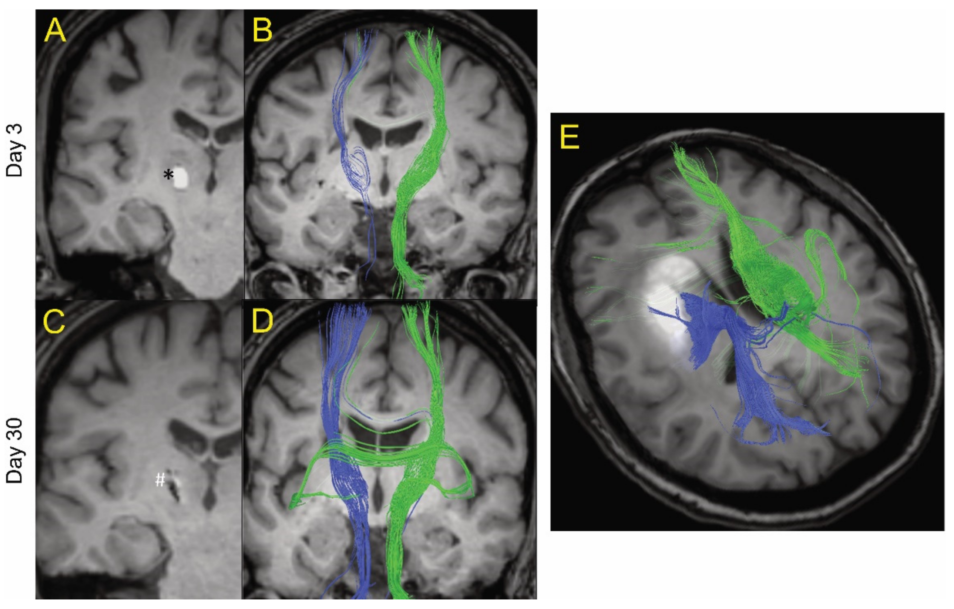 Biomolecules 11 00910 g001