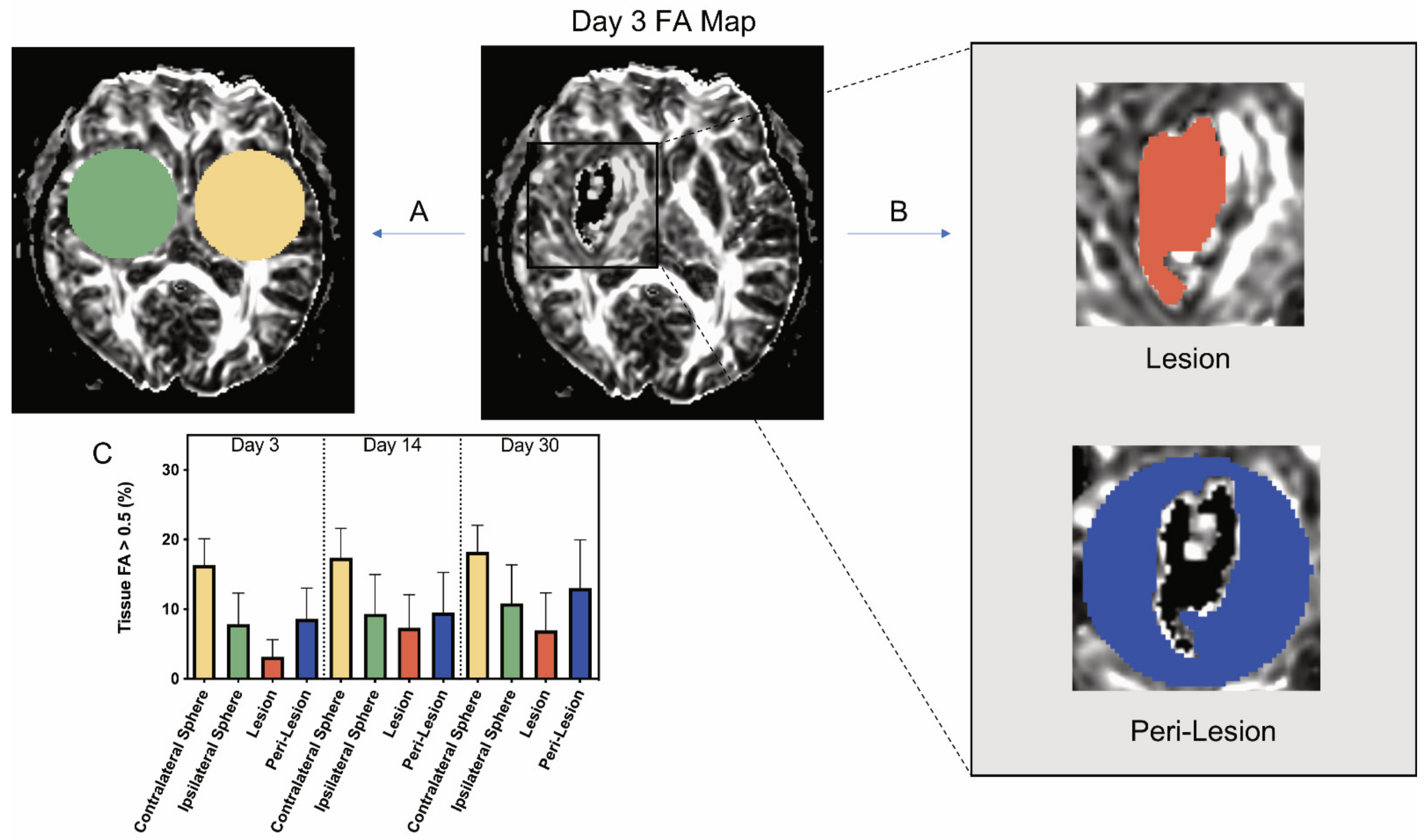 Biomolecules 11 00910 g002