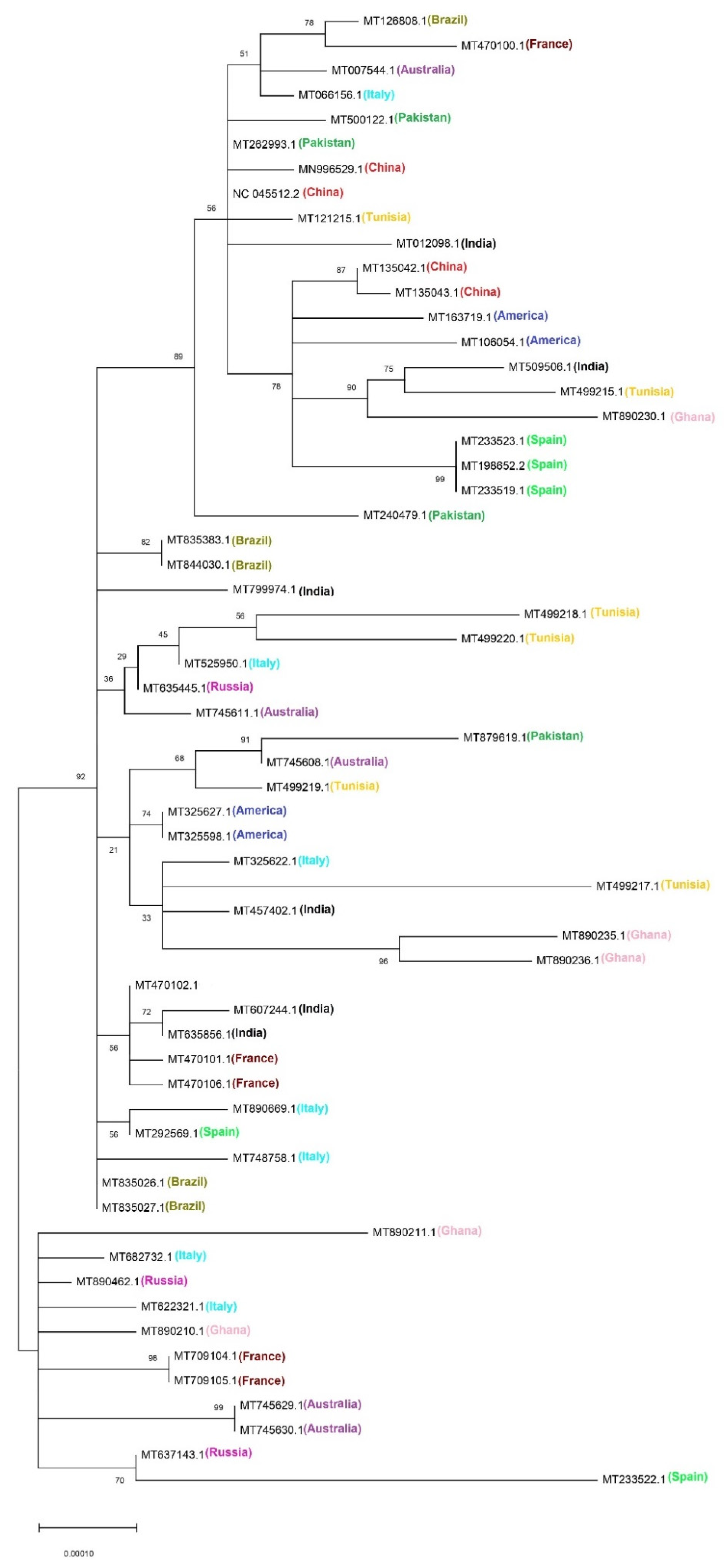 Biomolecules 11 00912 g006