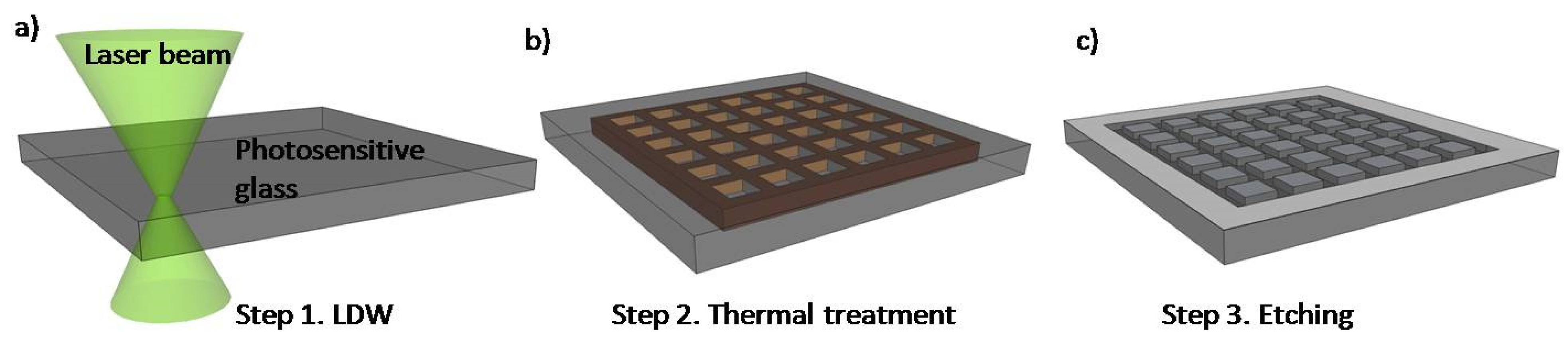 Biomolecules 11 00916 g002 Biomolecules 11 00916 g002