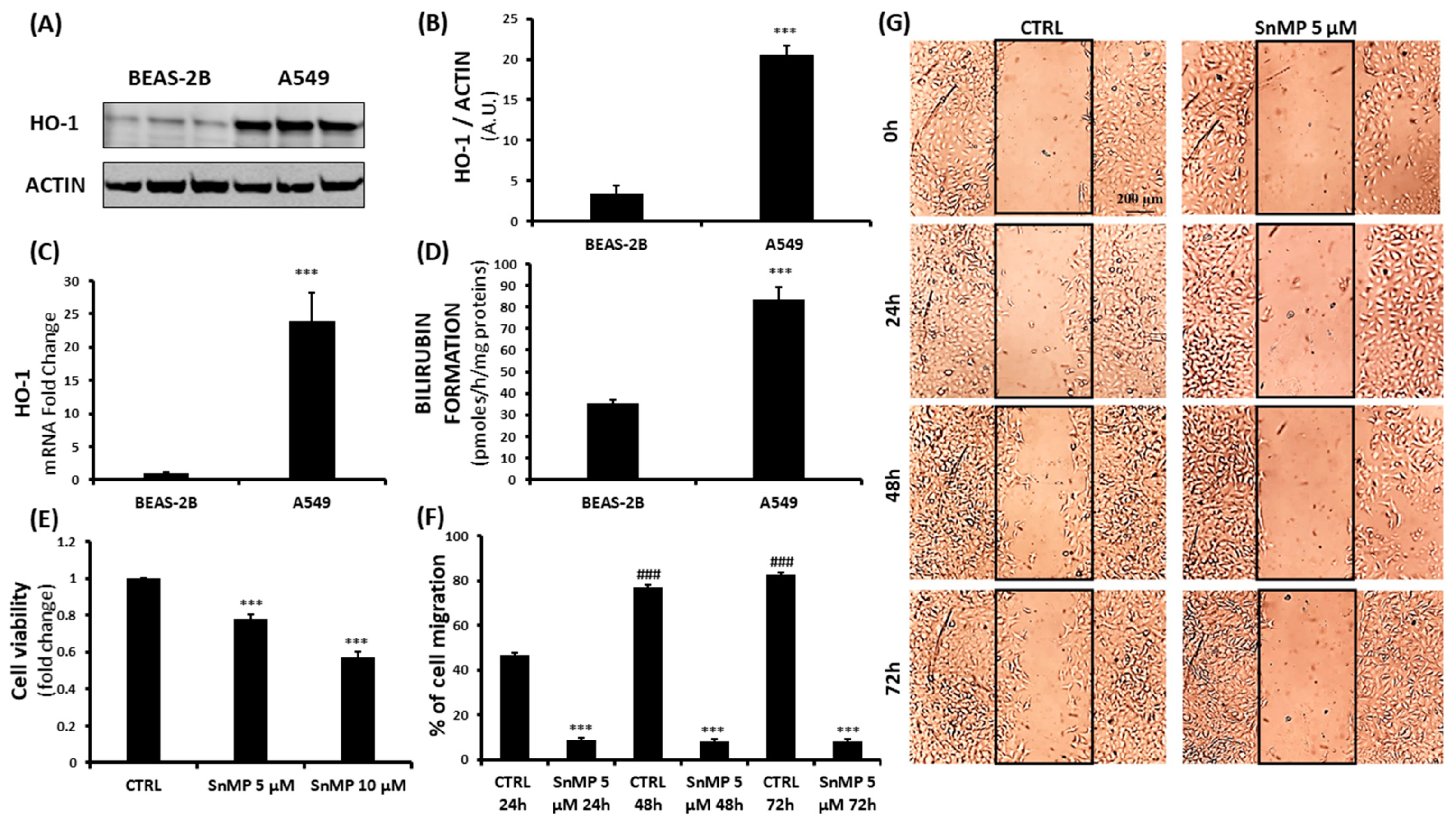 Biomolecules 11 00917 g001 Biomolecules 11 00917 g001