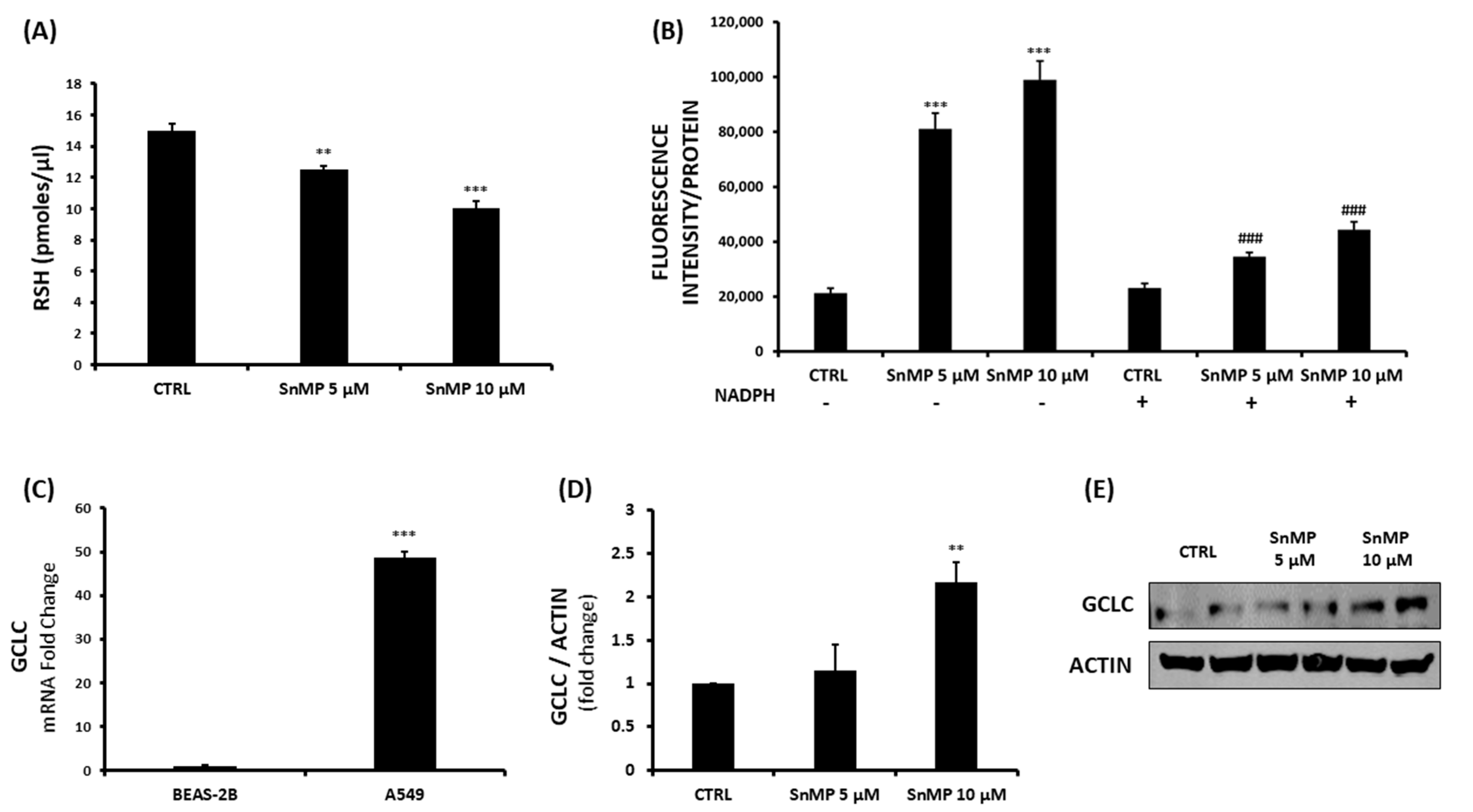 Biomolecules 11 00917 g003 Biomolecules 11 00917 g003