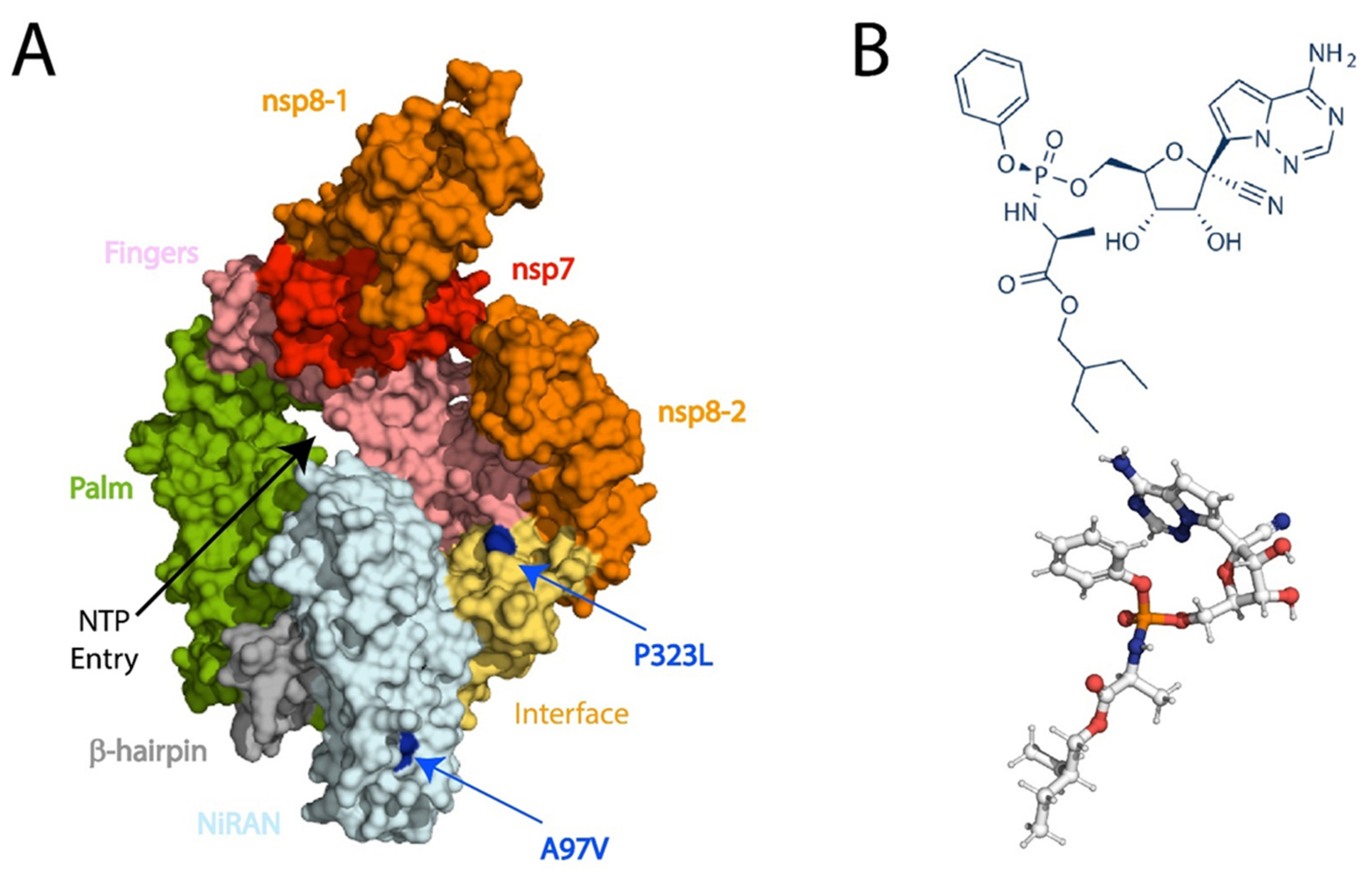 Biomolecules 11 00919 g001
