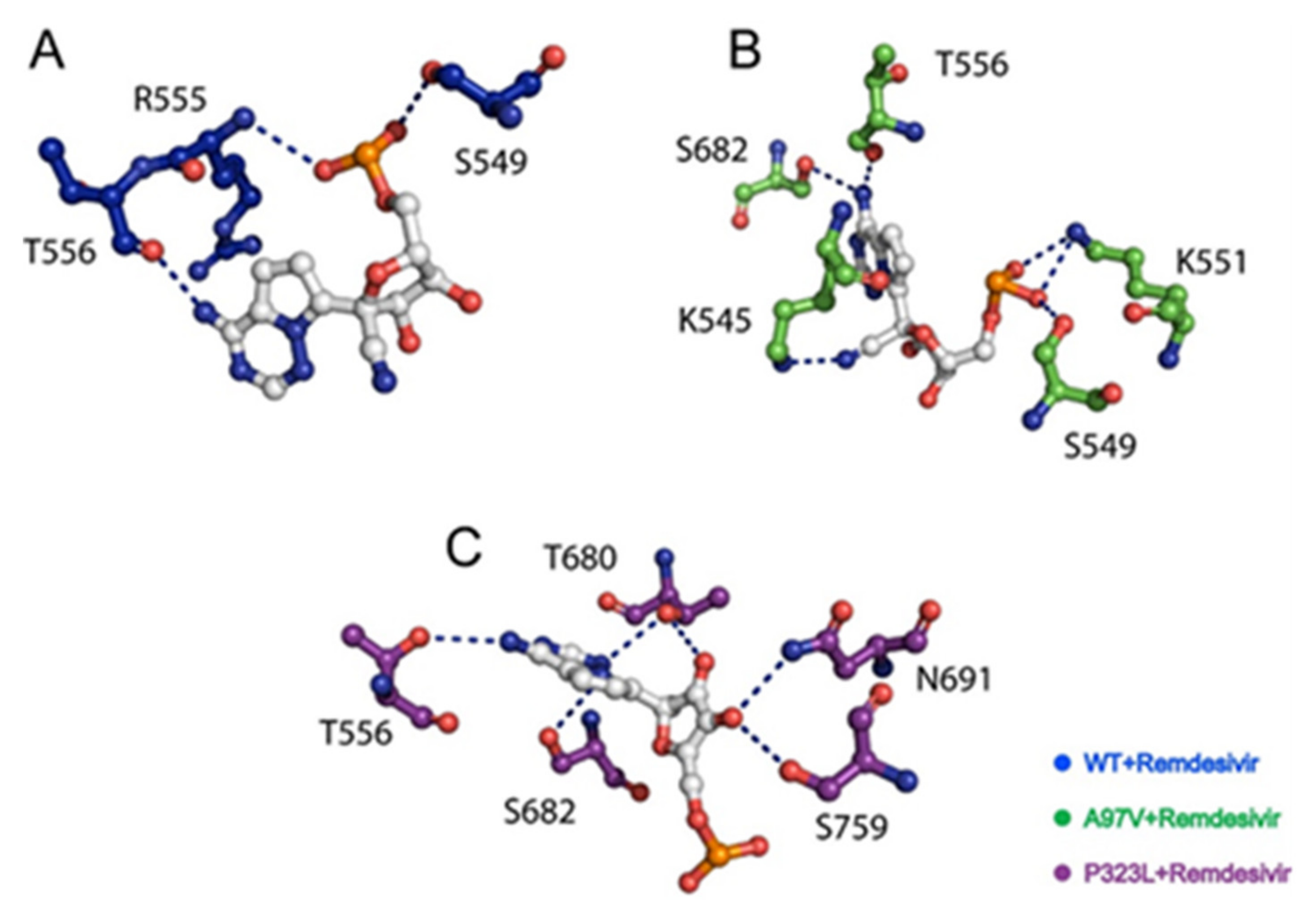 Biomolecules 11 00919 g002