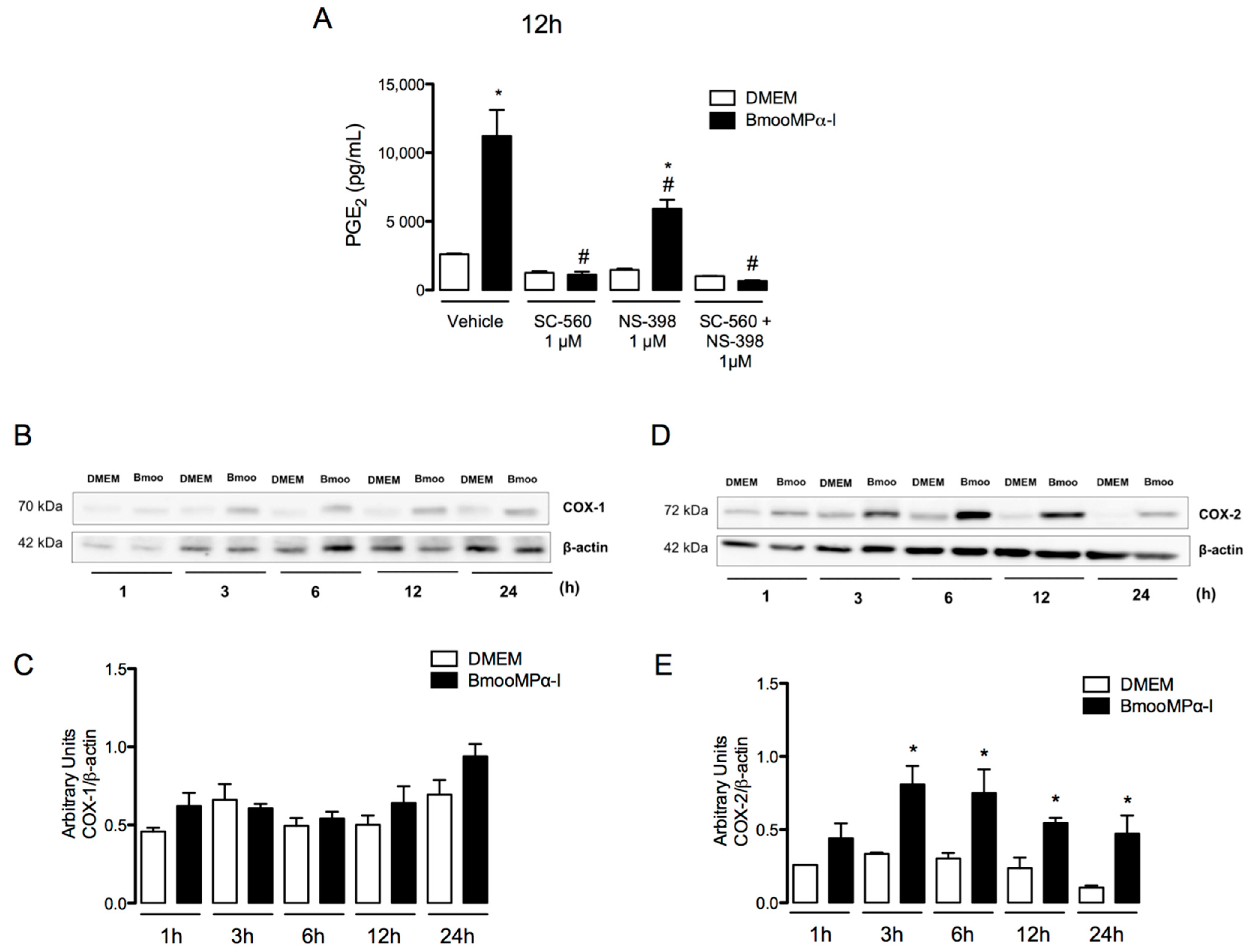 Biomolecules 11 00921 g002 550