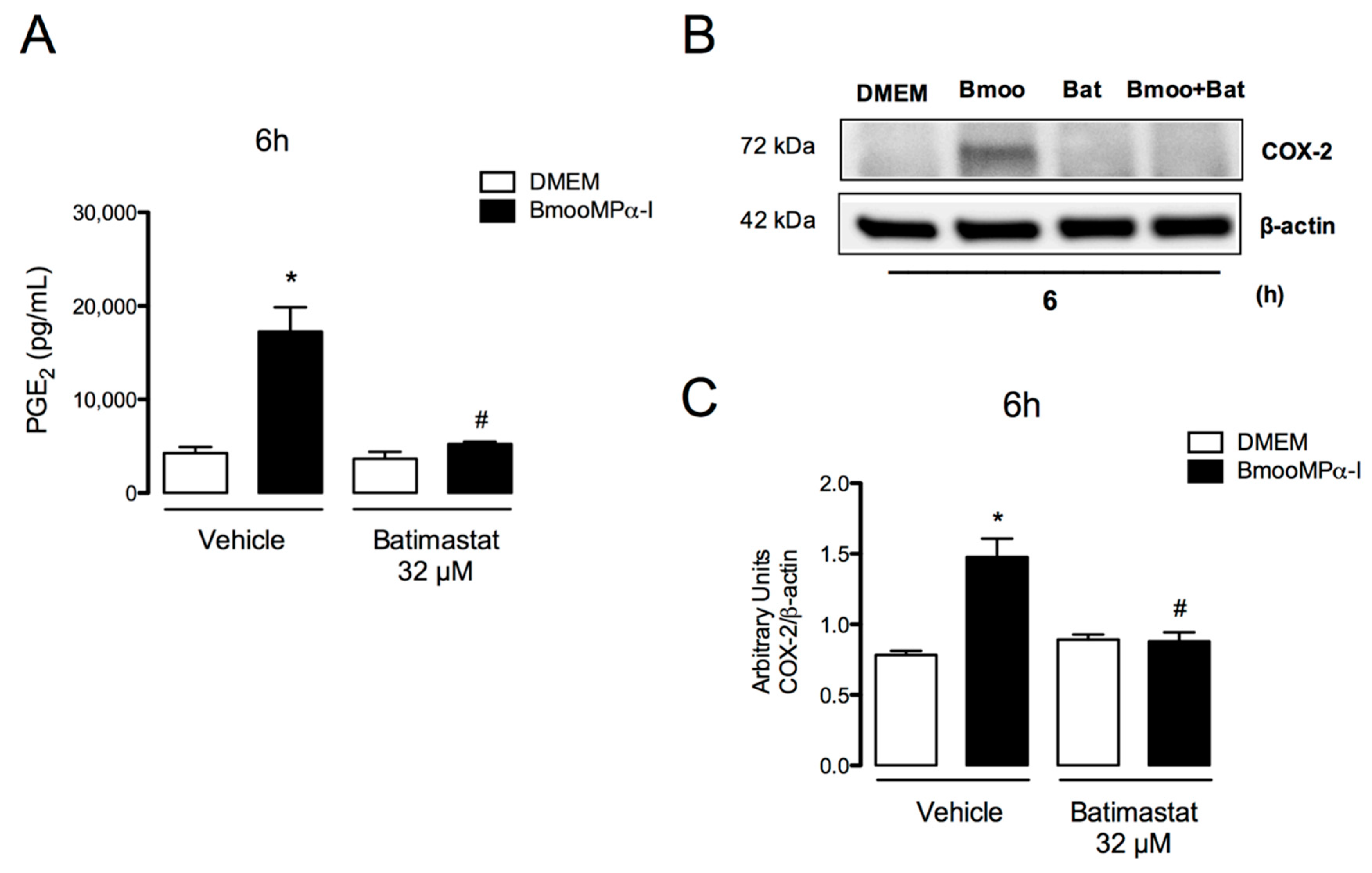 Biomolecules 11 00921 g004 550