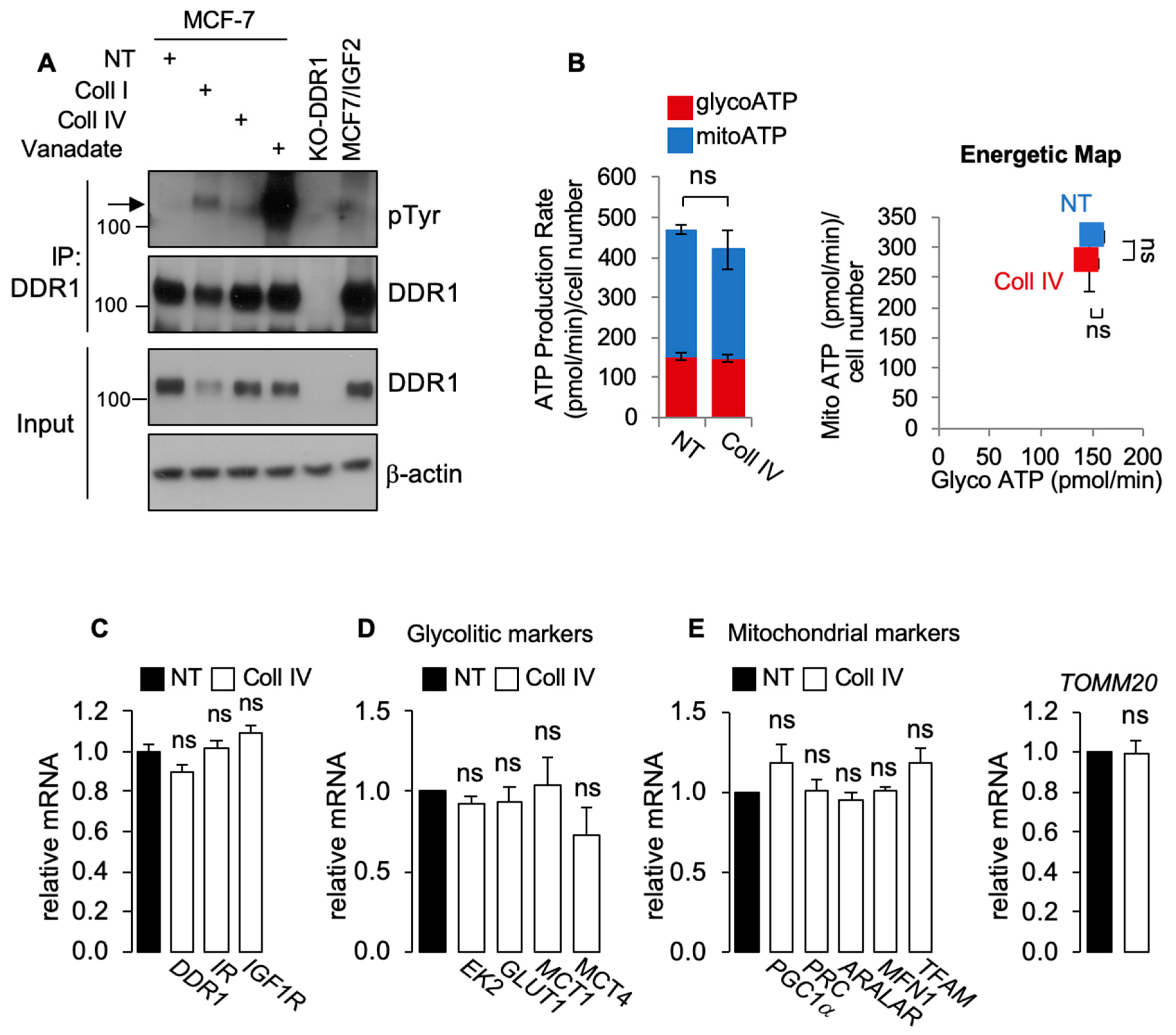 Biomolecules 11 00926 g003