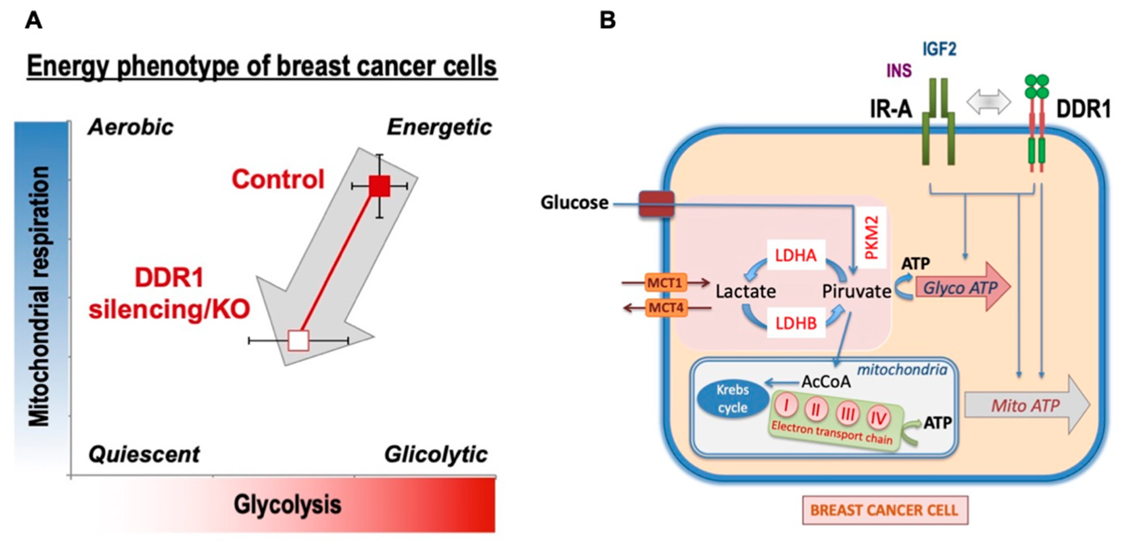 Biomolecules 11 00926 g007