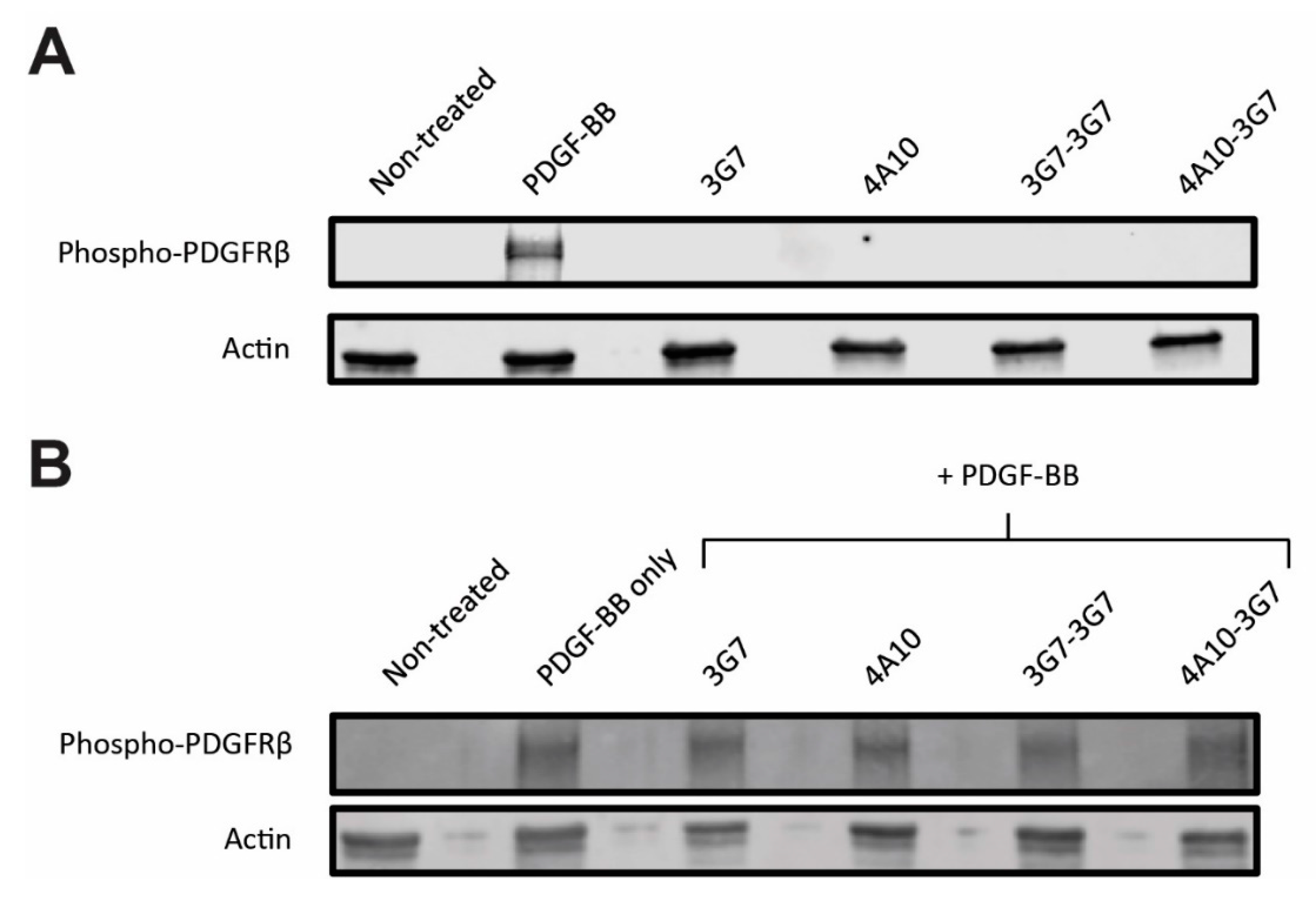 Biomolecules 11 00927 g004 550
