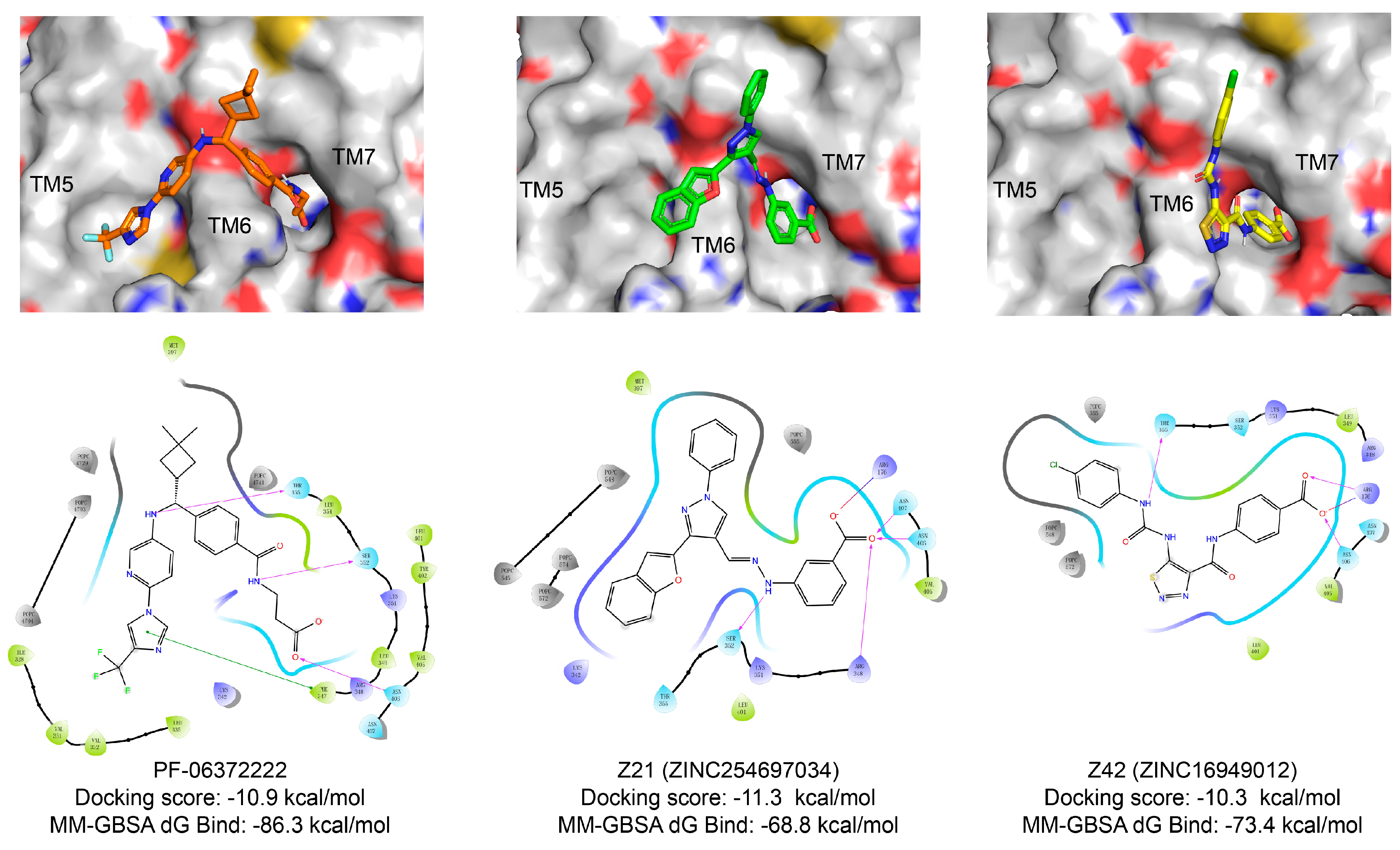 Biomolecules 11 00929 g003 550