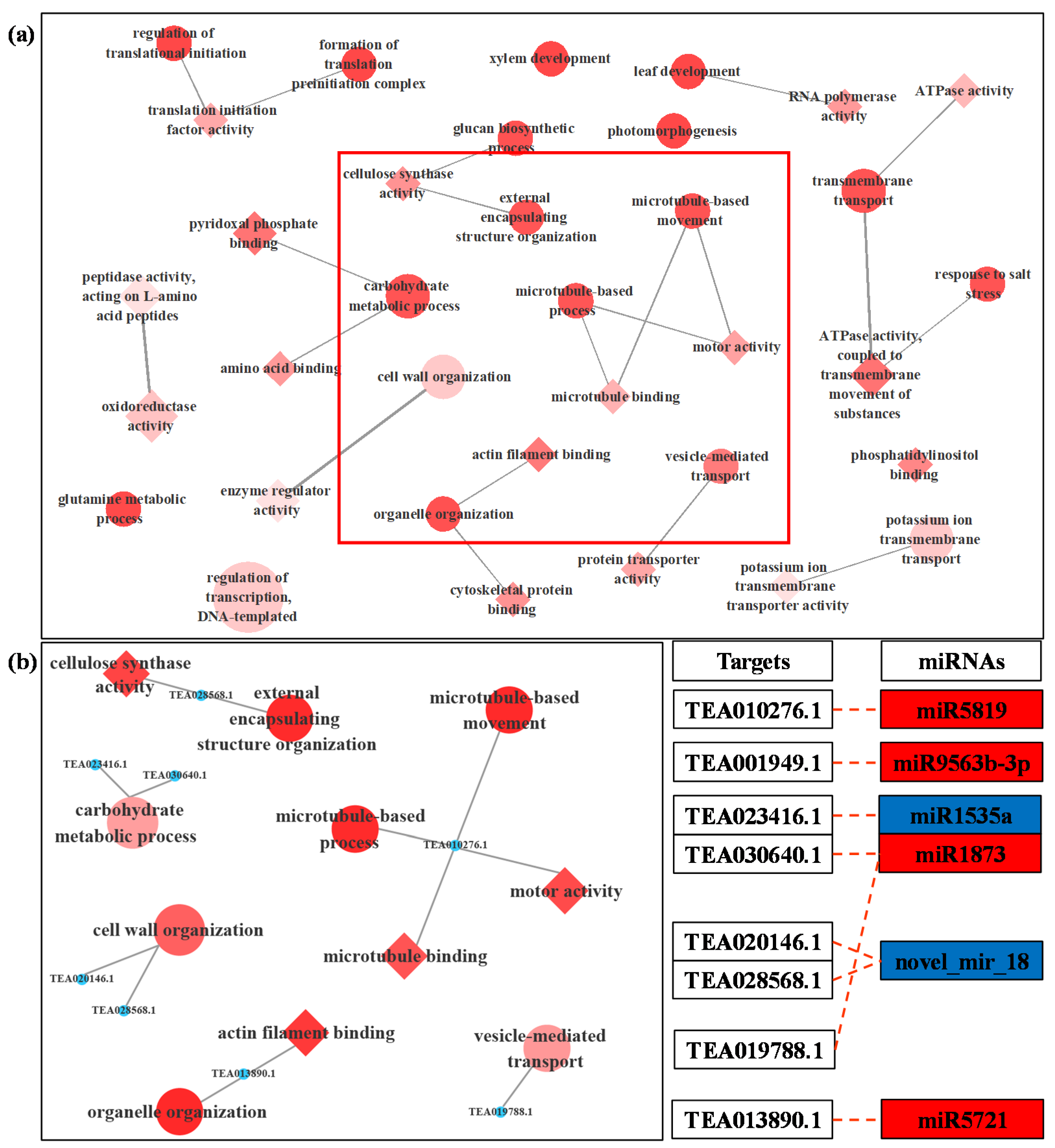 Biomolecules 11 00930 g004