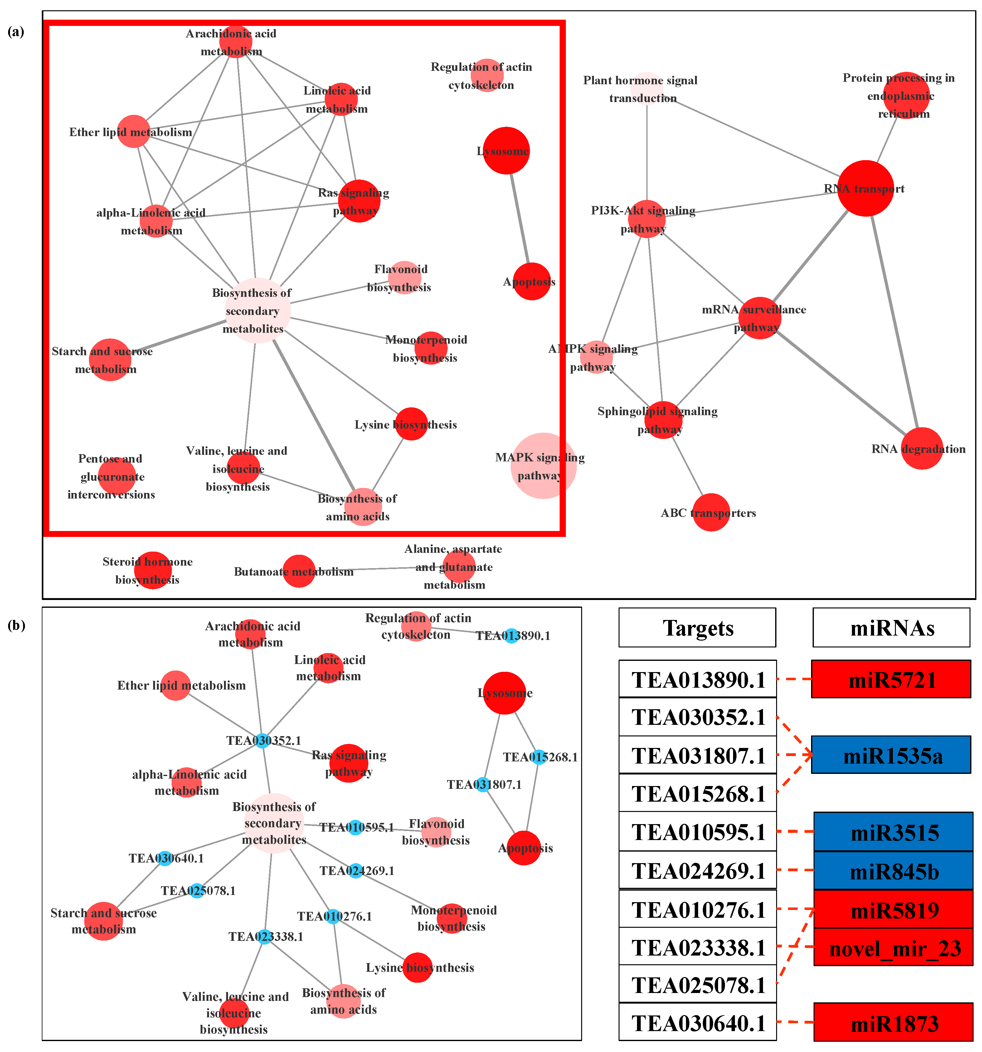 Biomolecules 11 00930 g007