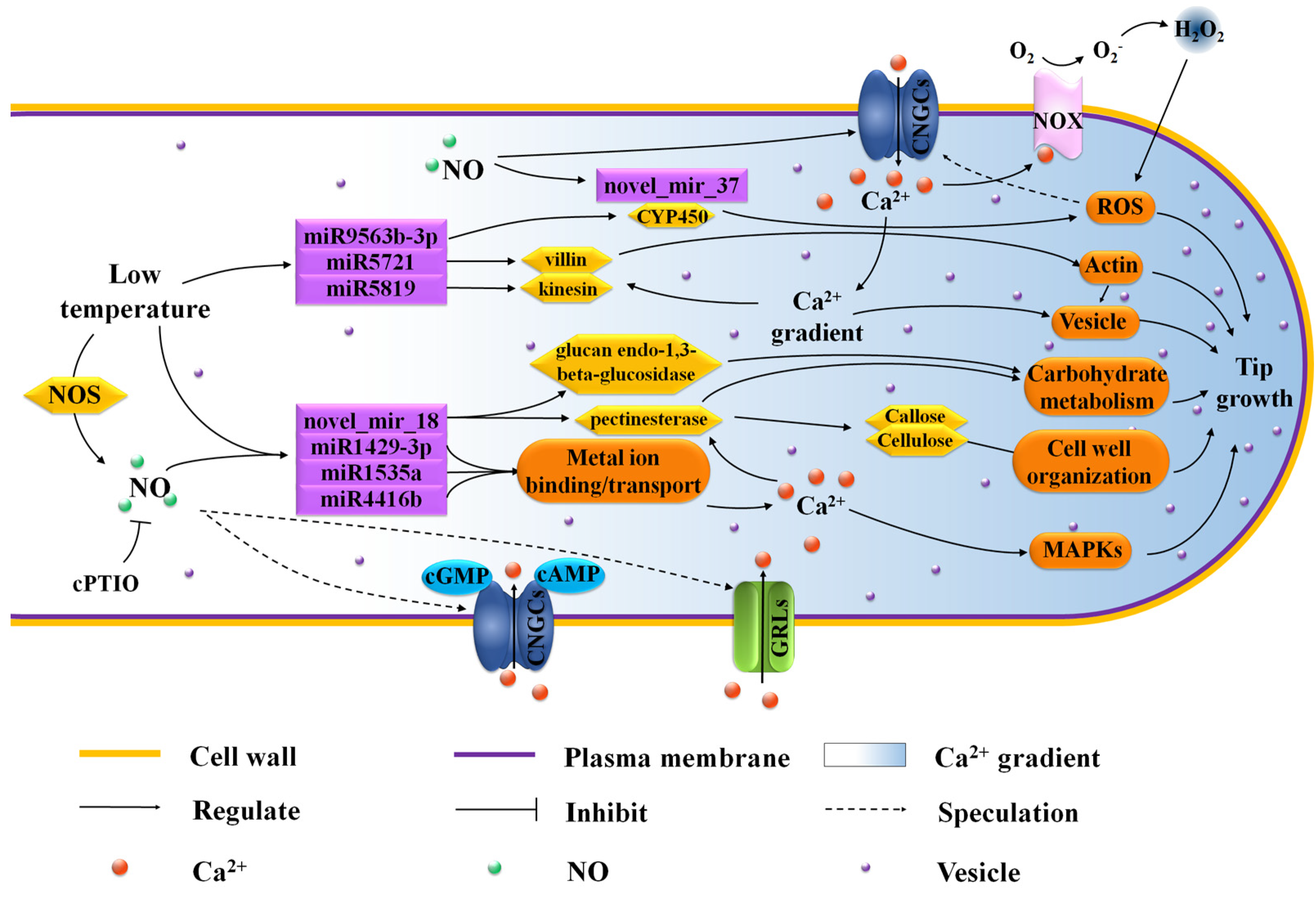 Biomolecules 11 00930 g010