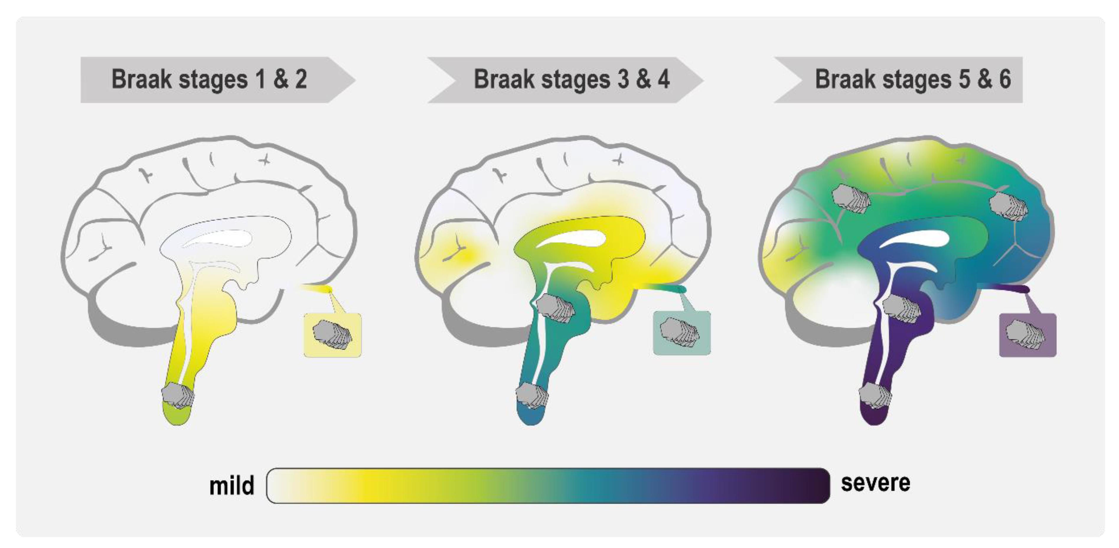 Biomolecules 11 00931 g002 550