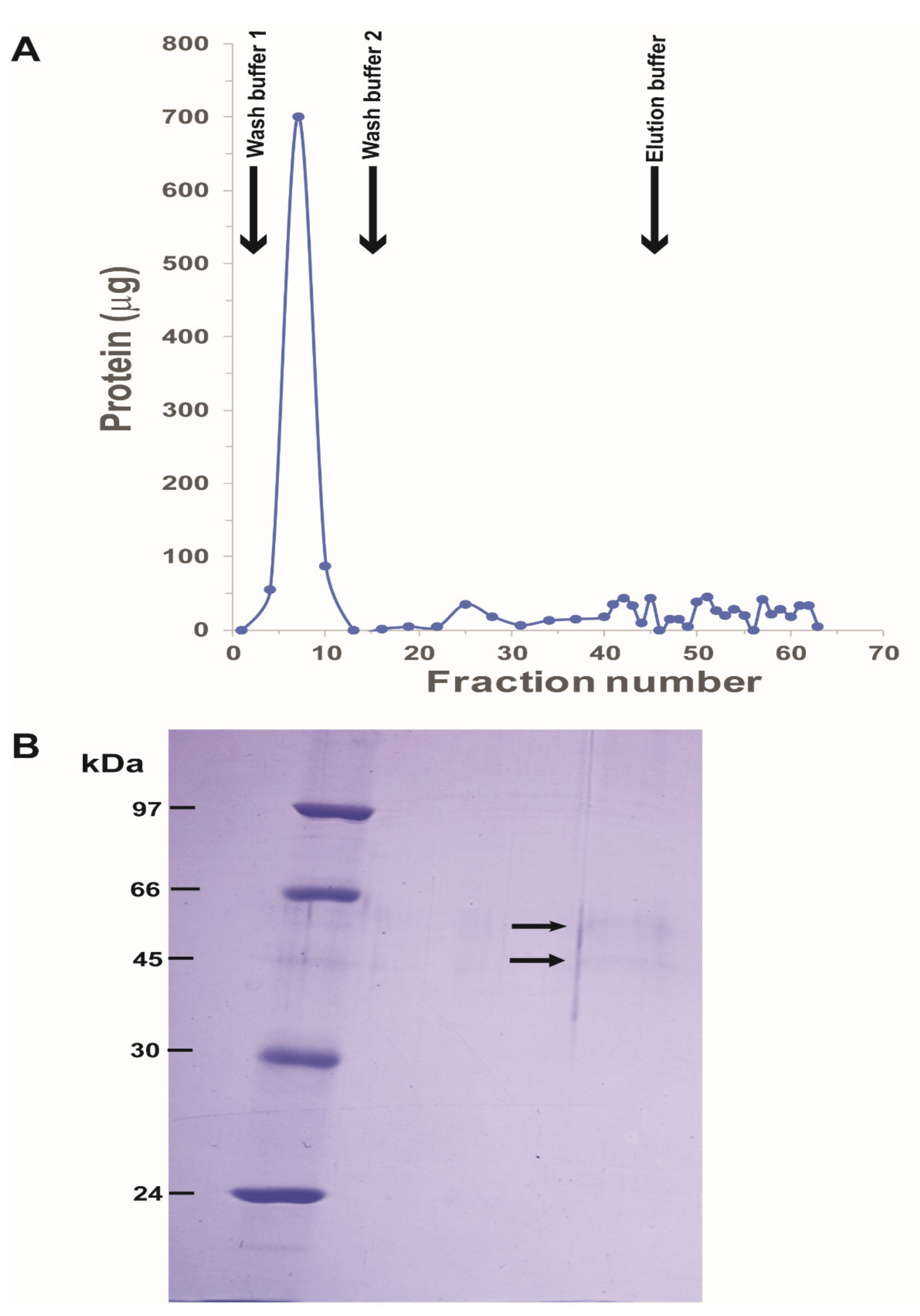 Biomolecules 11 00934 g001 550