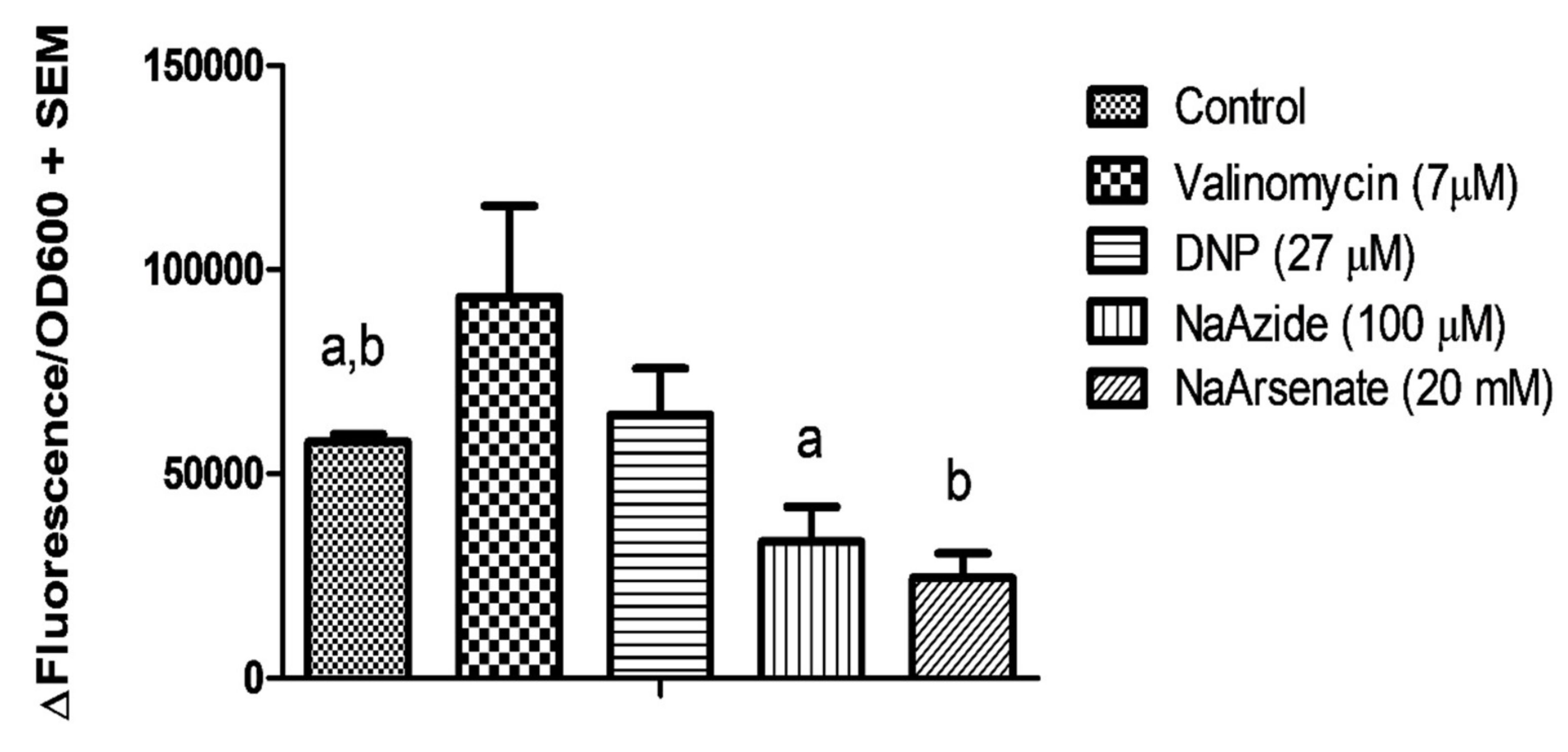 Biomolecules 11 00934 g012 550