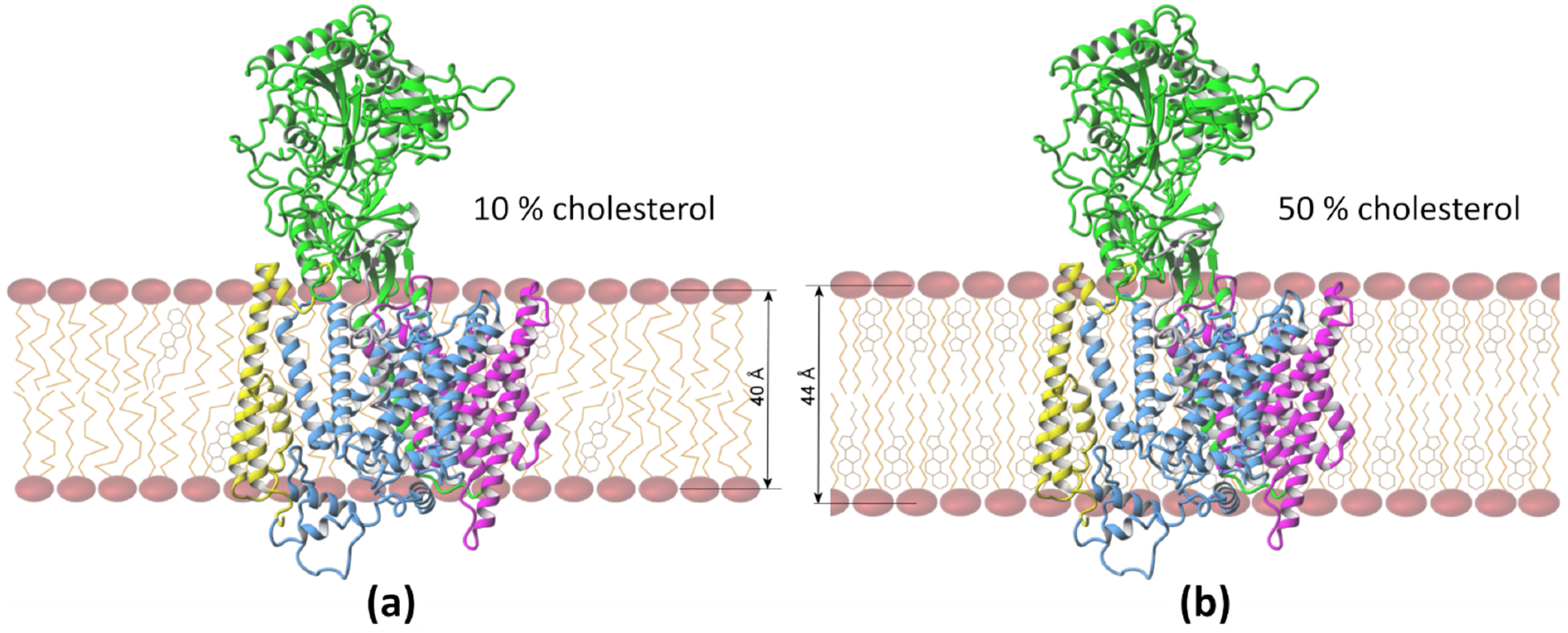 Biomolecules 11 00935 g004