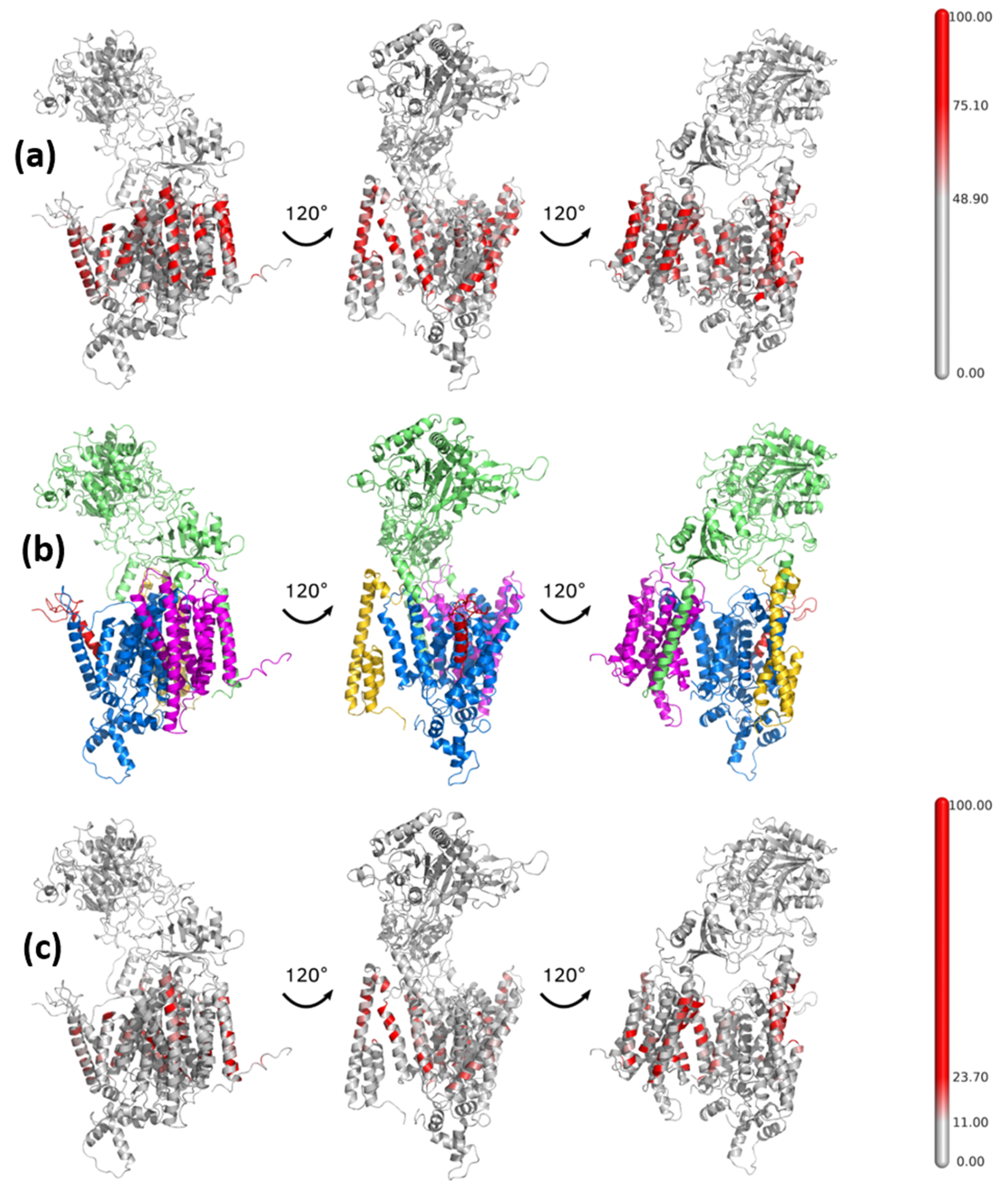 Biomolecules 11 00935 g005