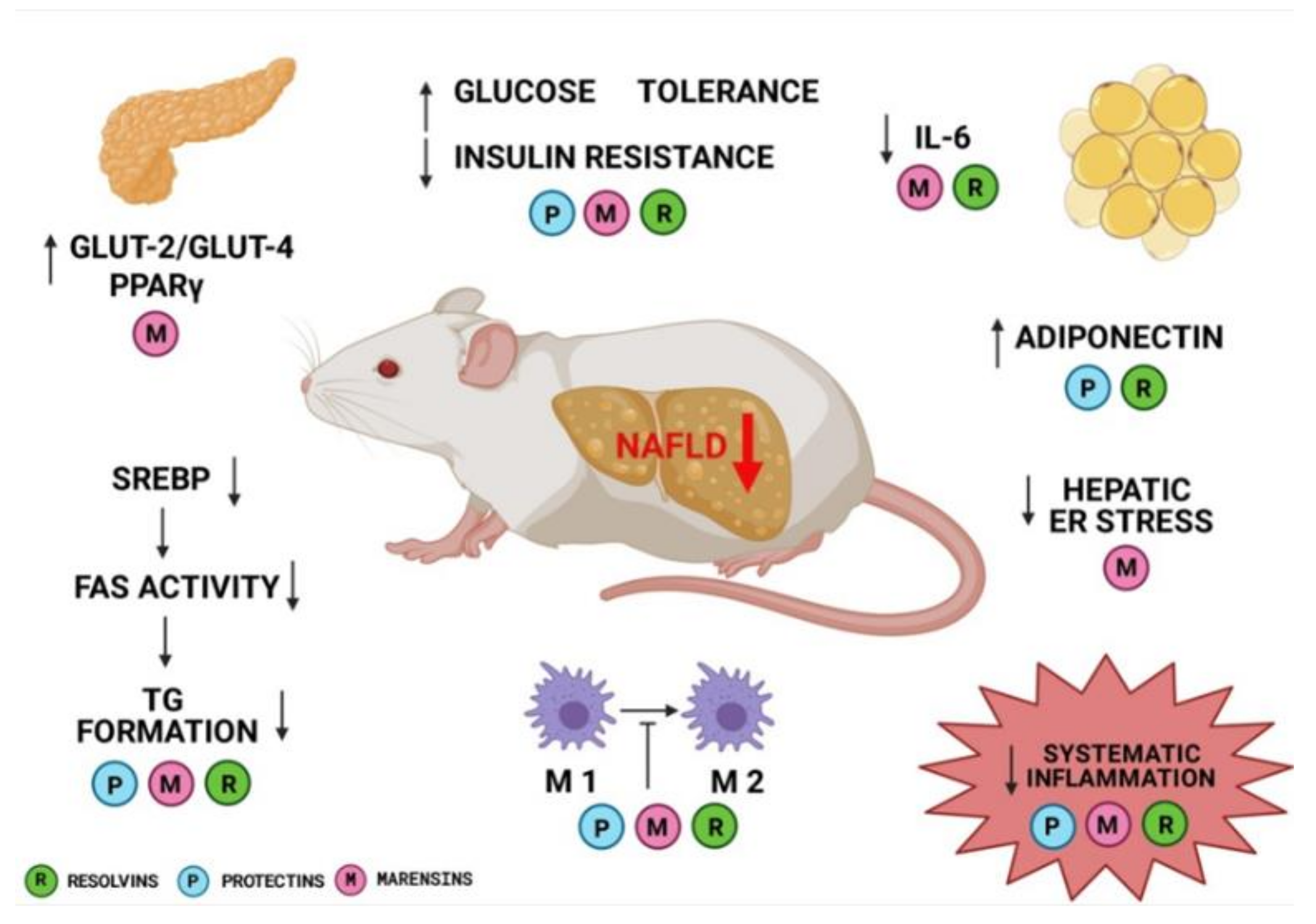 Biomolecules 11 00937 g001 550