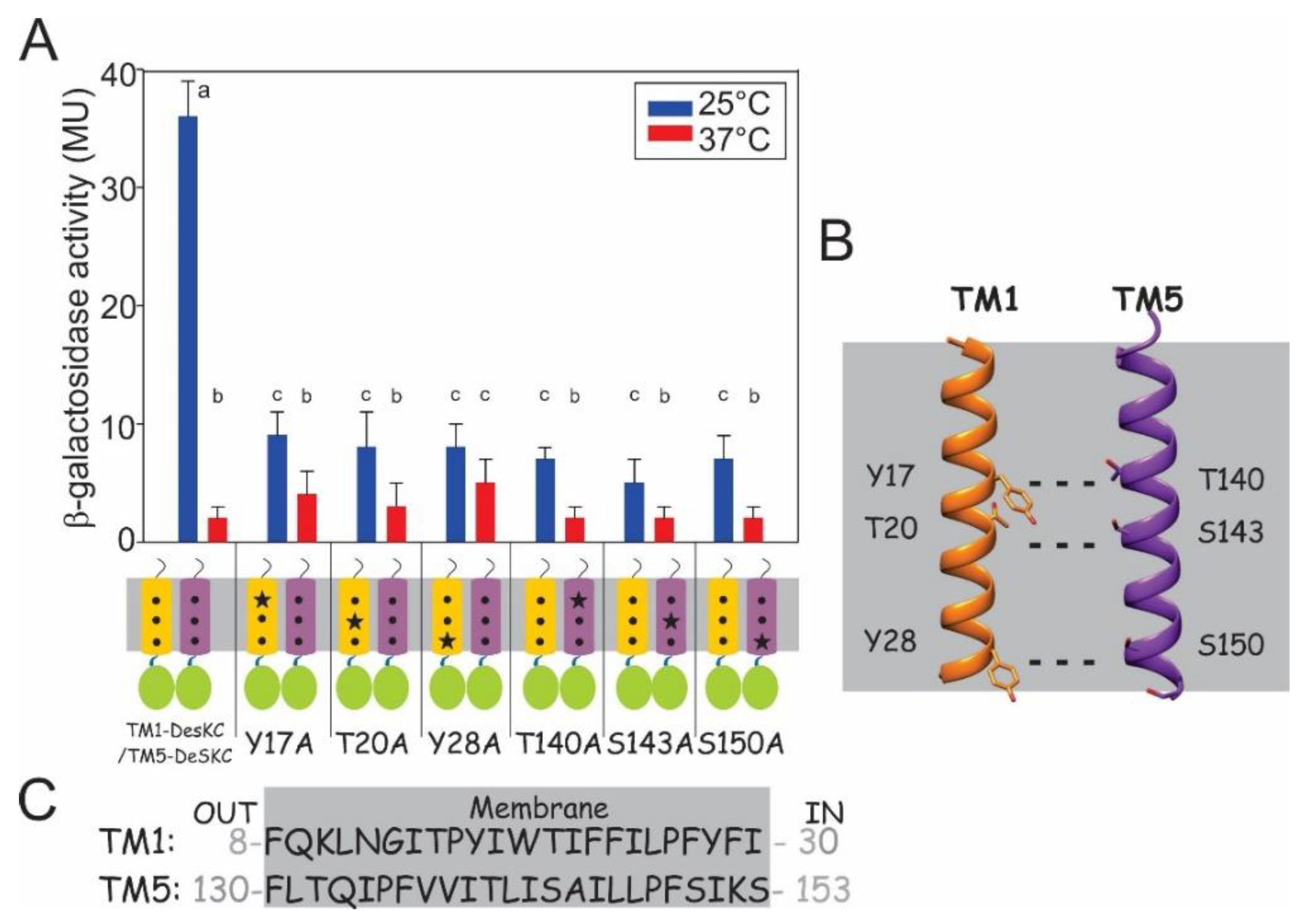 Biomolecules 11 00938 g002