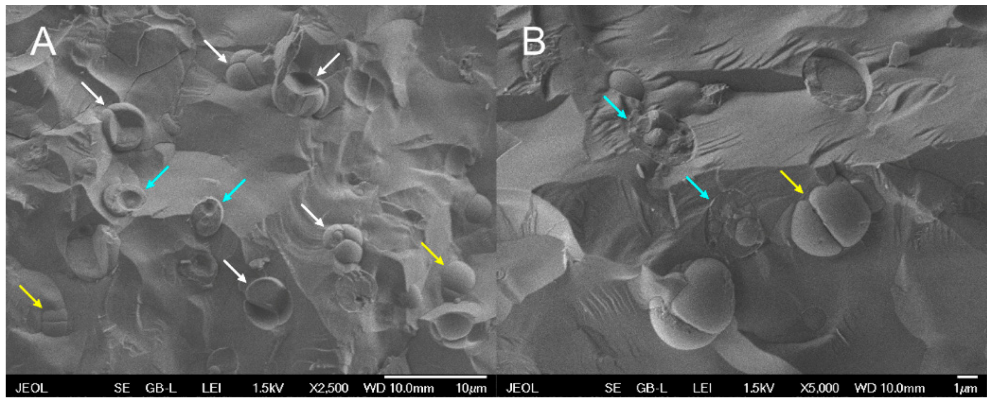Biomolecules 11 00939 g006 Biomolecules 11 00939 g006
